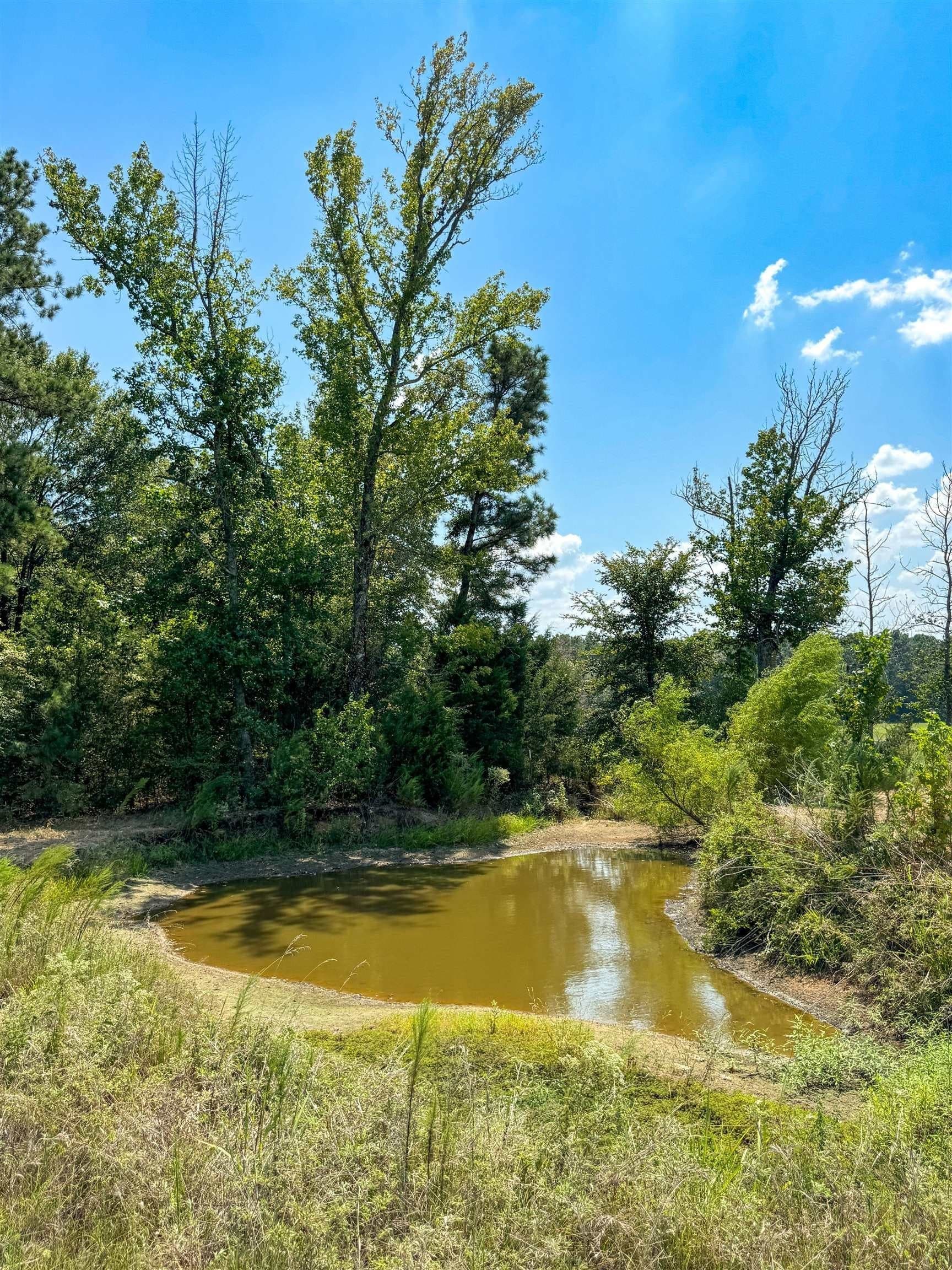 27 acres in Cass County - photo 21
