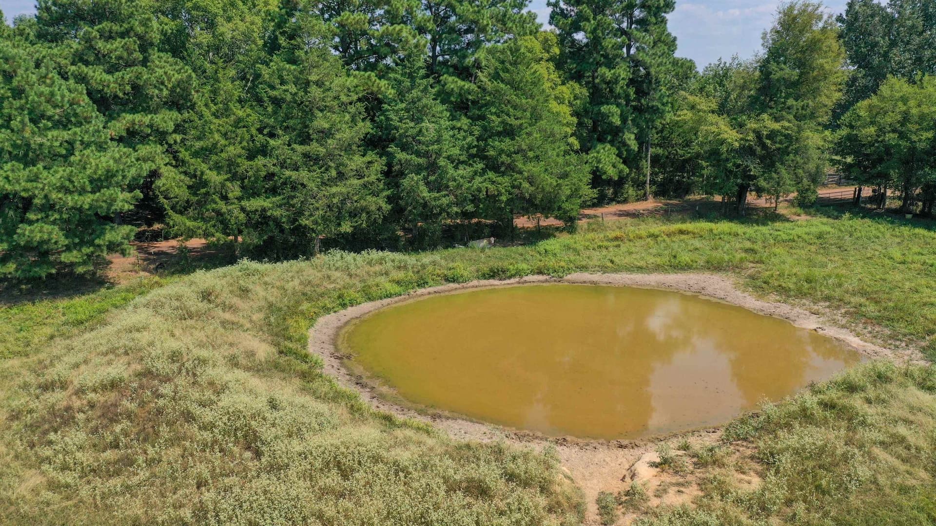 27 acres in Cass County - photo 20