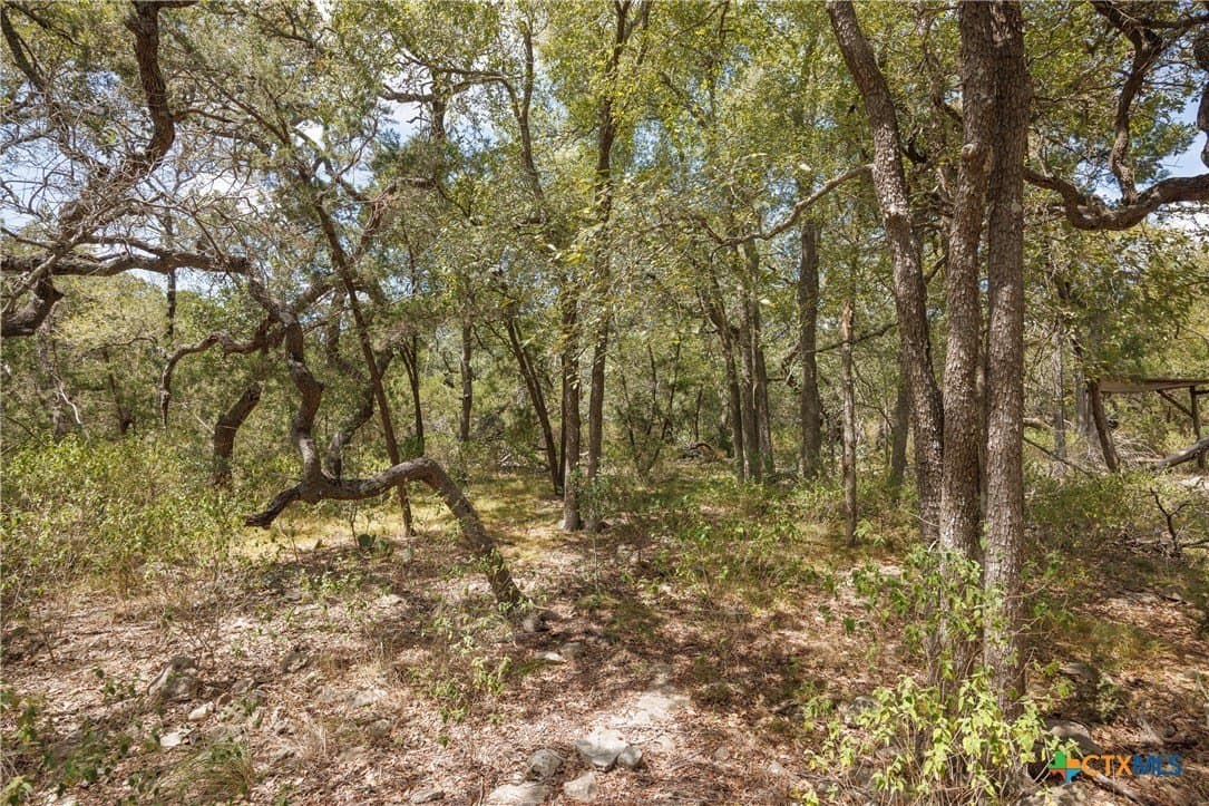 8.99 acres in Hays County - photo 13