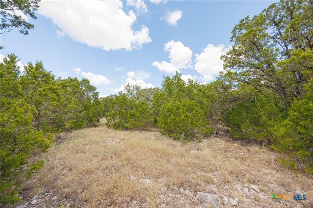 8.99 acres in Hays County - photo 14