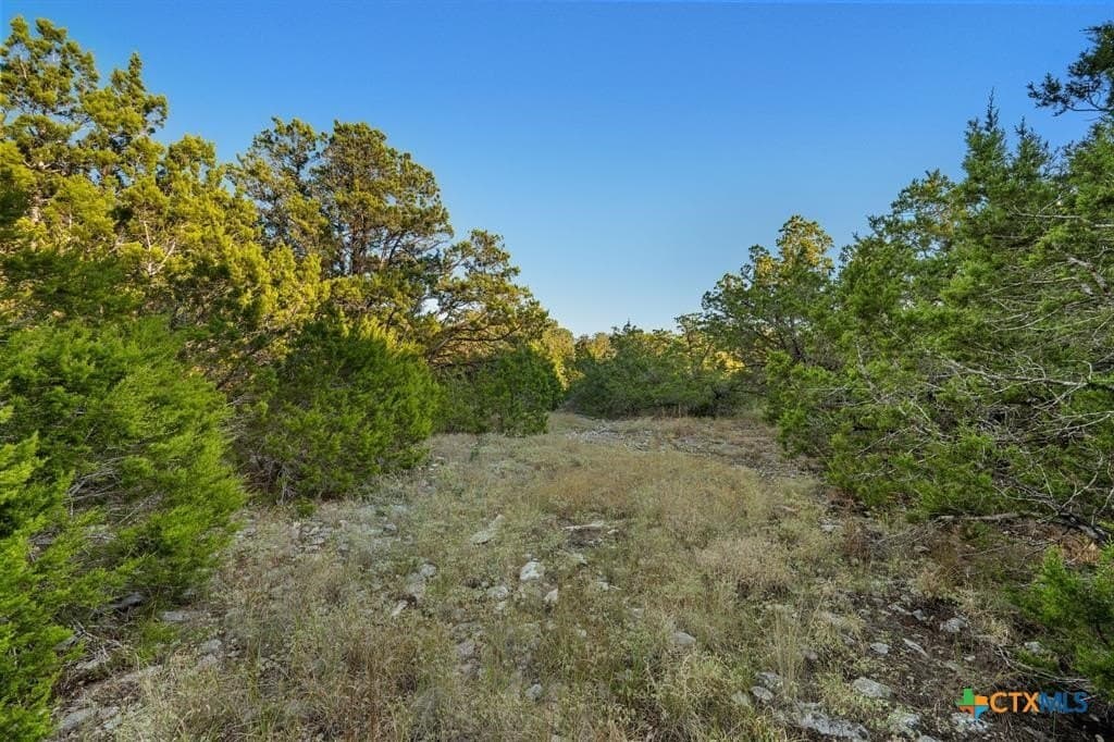 8.99 acres in Hays County - photo 10