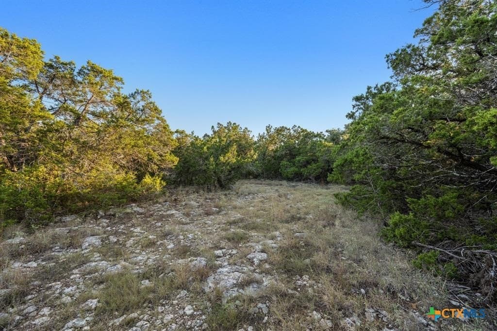 8.99 acres in Hays County - photo 9