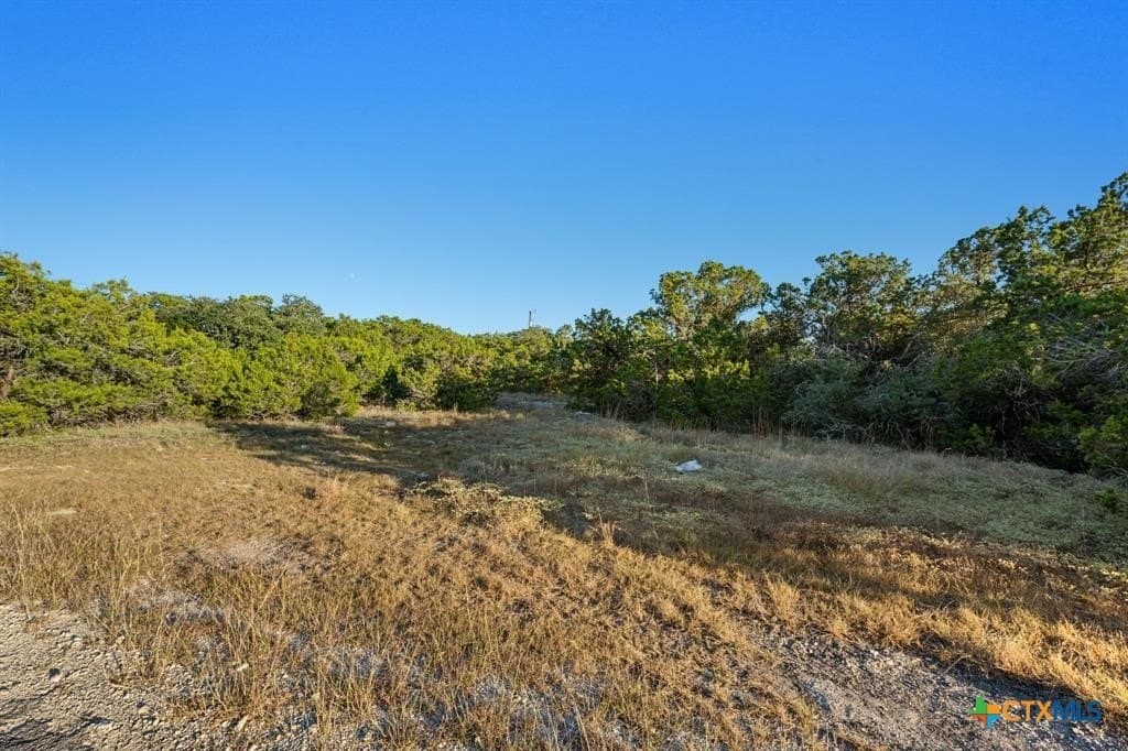 8.99 acres in Hays County - photo 8