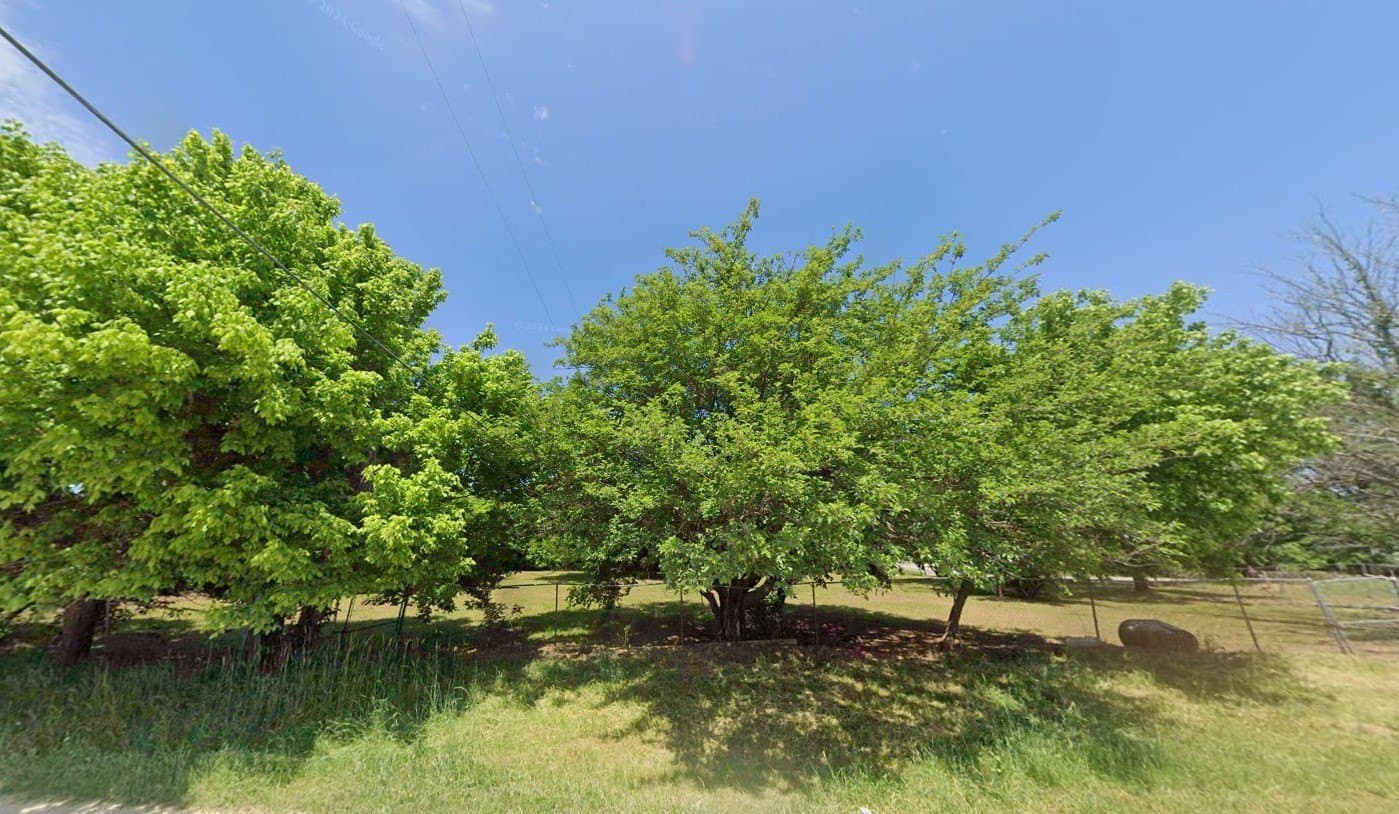 1.04 acres in Grayson County gallery image 2