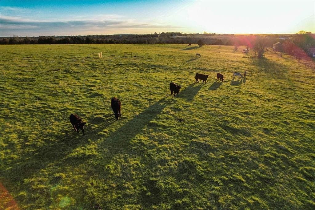 5.63 acres in Grayson County gallery image 3