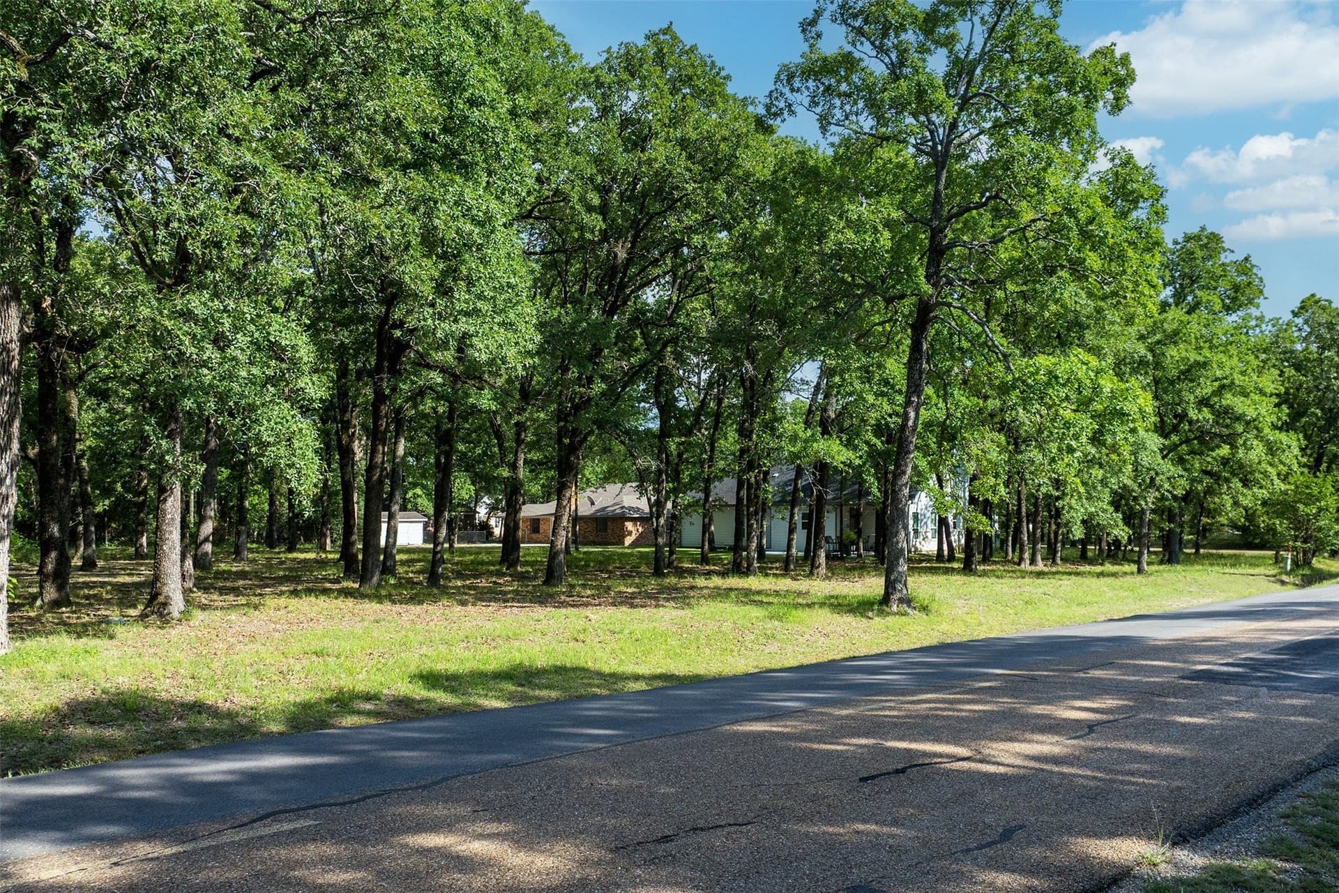 1 acres in Henderson County - photo 14