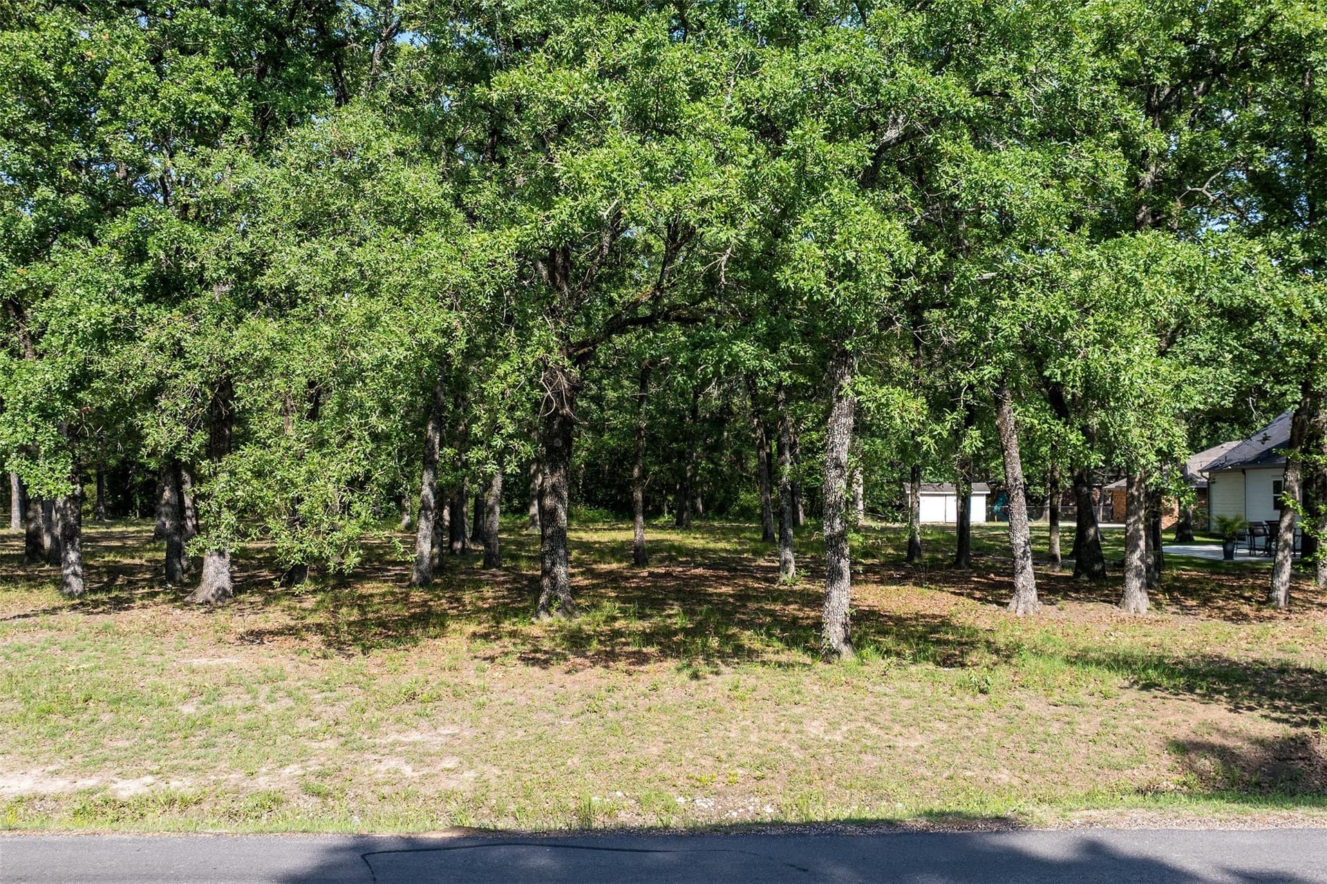 1 acres in Henderson County - photo 16