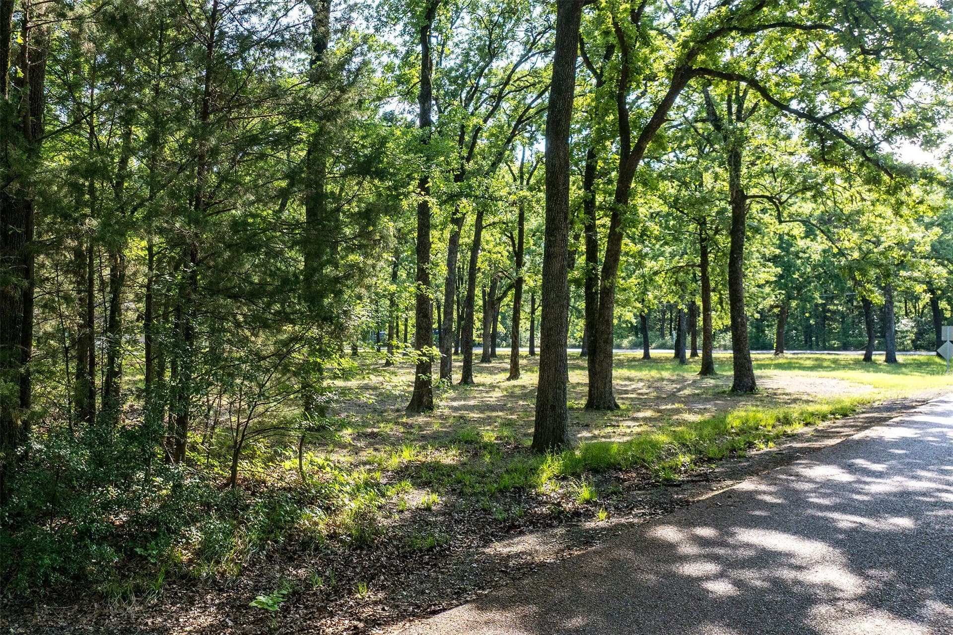 1 acres in Henderson County - photo 13