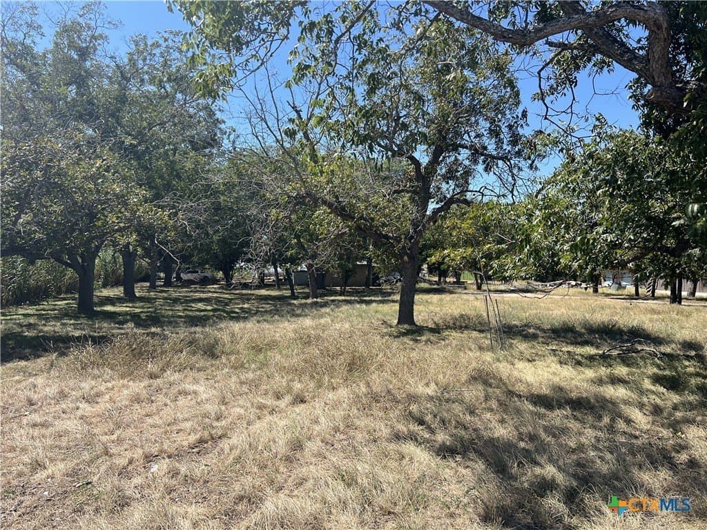 3.71 acres in Comal County gallery image 3