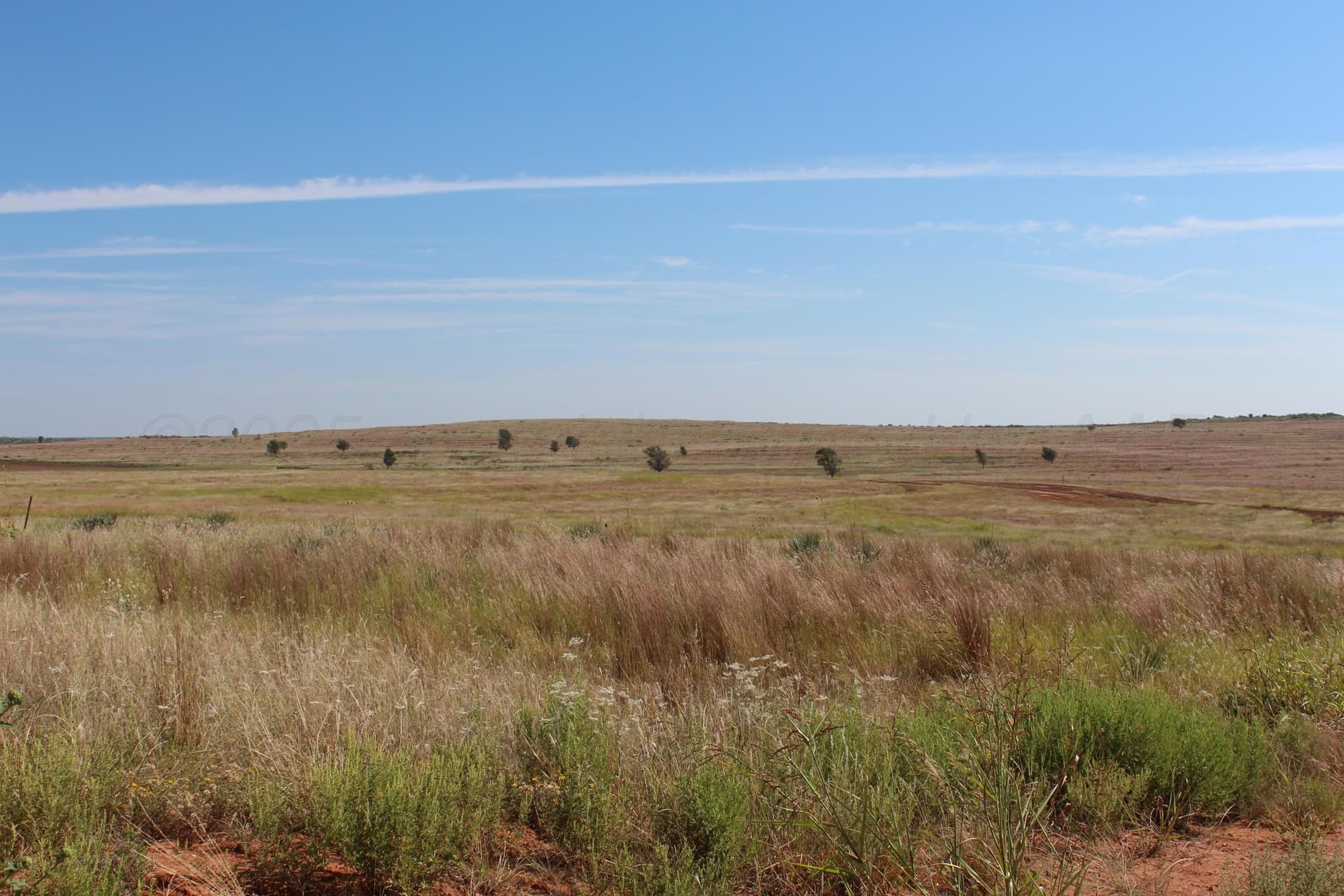 325.2 acres in Childress County - photo 7