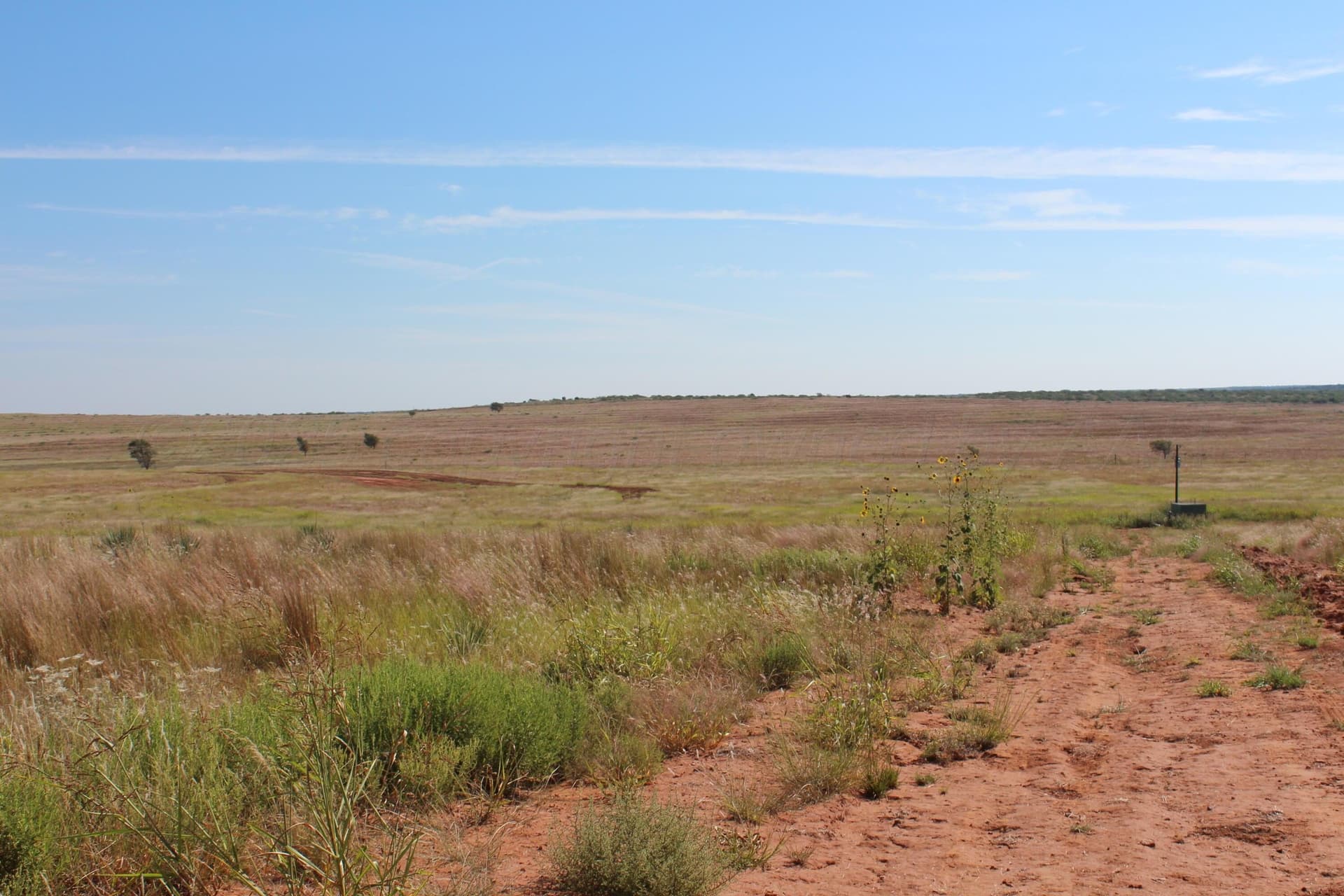 325.2 acres in Childress County - photo 9
