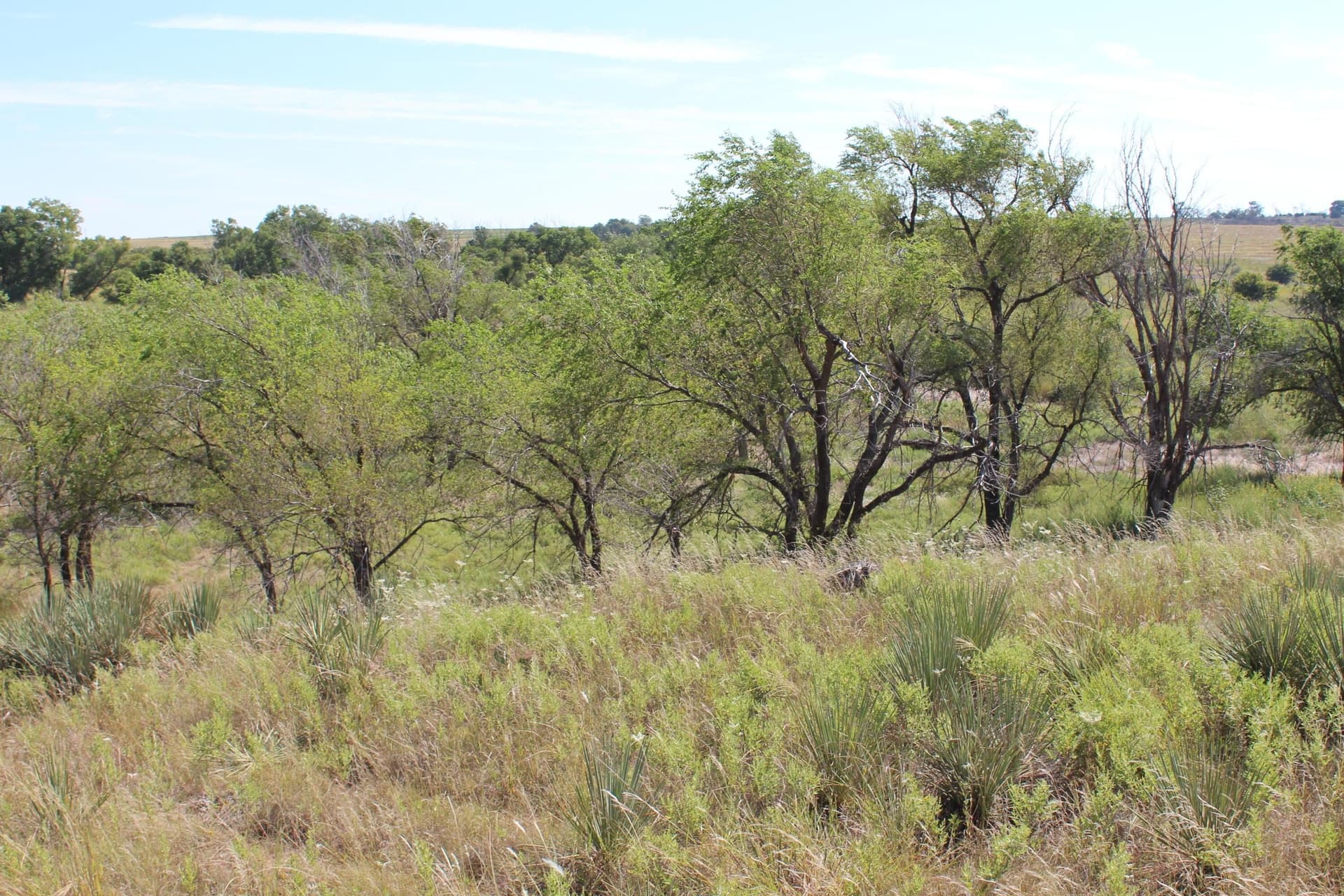325.2 acres in Childress County - photo 29