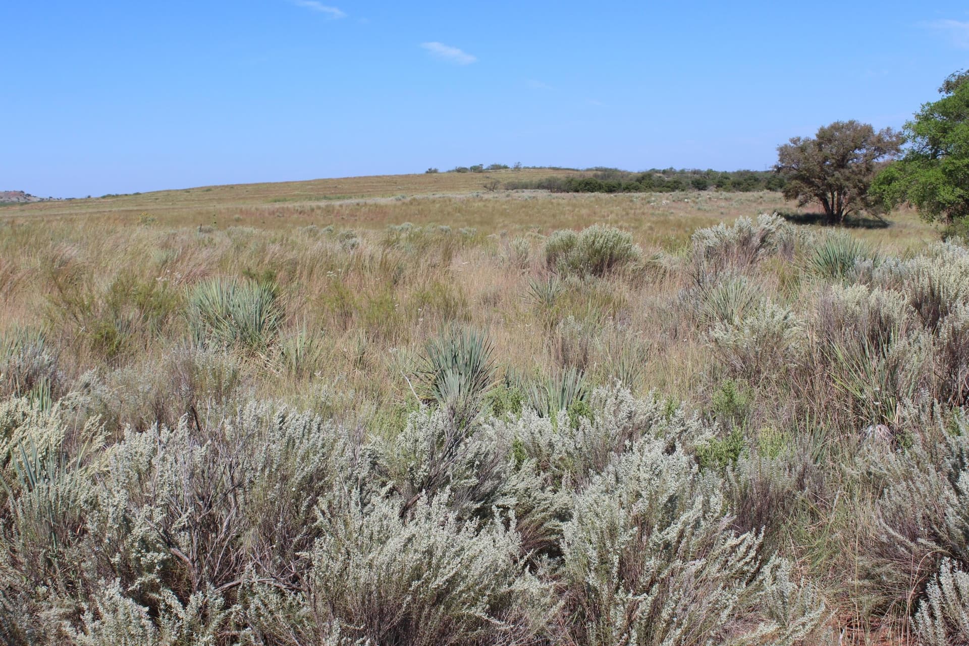 325.2 acres in Childress County - photo 25