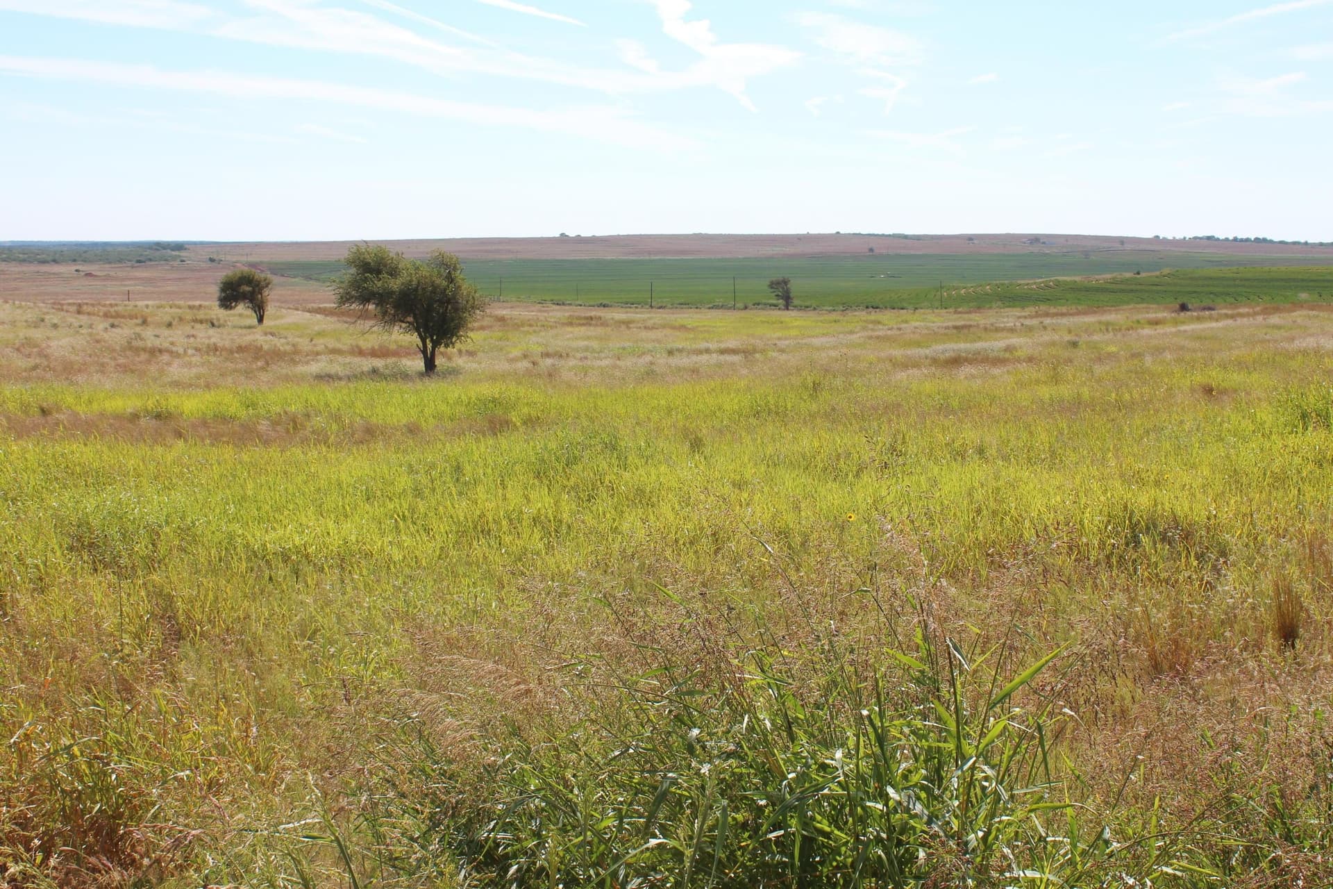 325.2 acres in Childress County gallery image 4