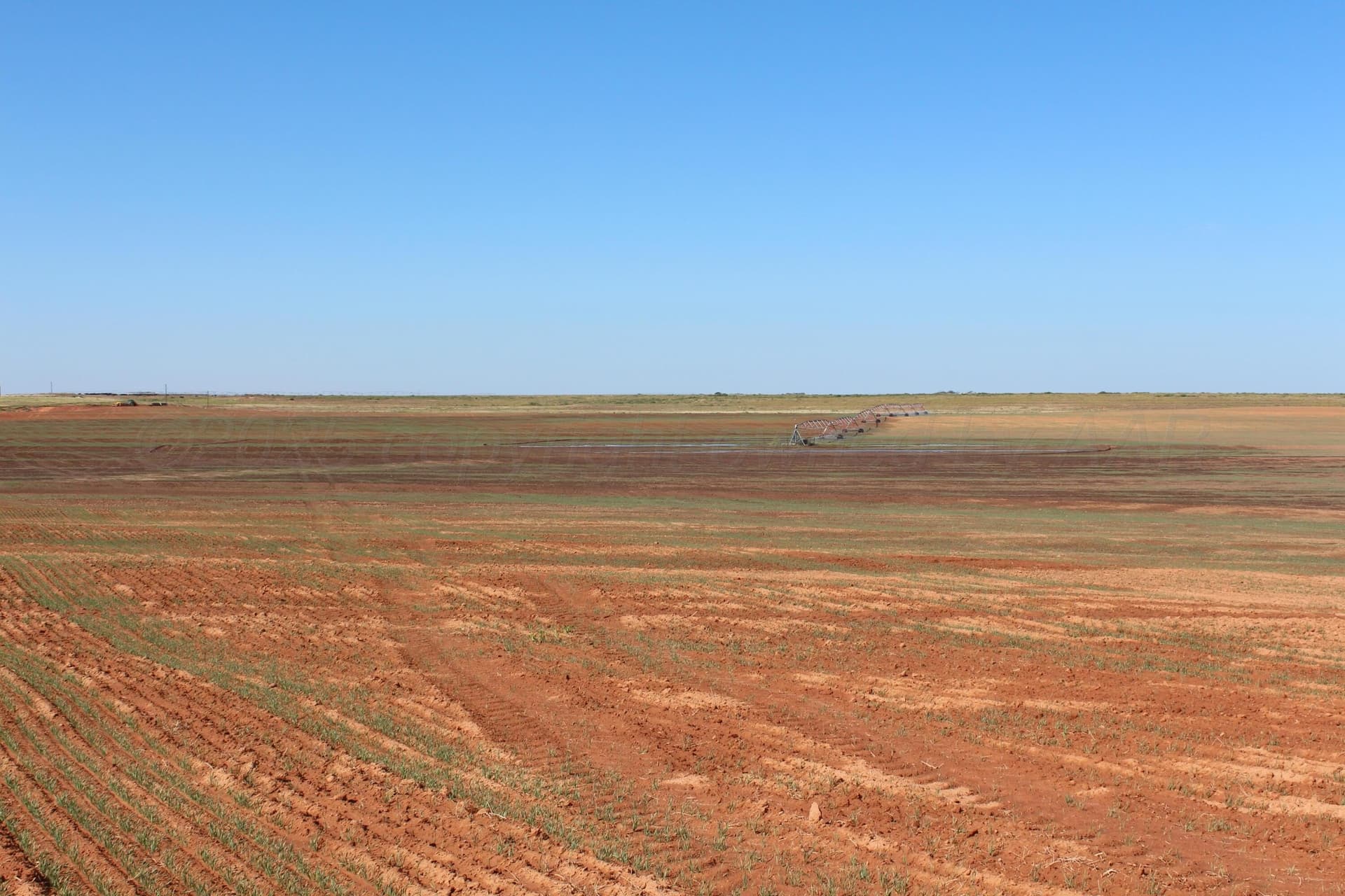 325.2 acres in Childress County - photo 16