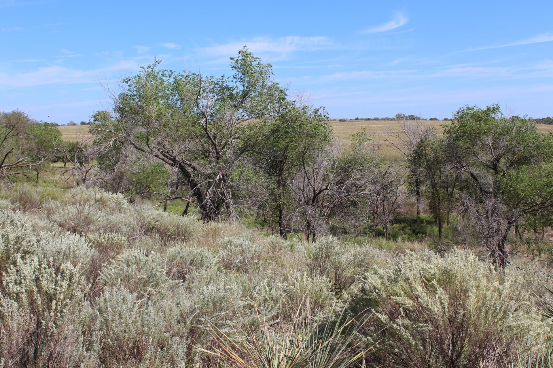 325.2 acres in Childress County - photo 23
