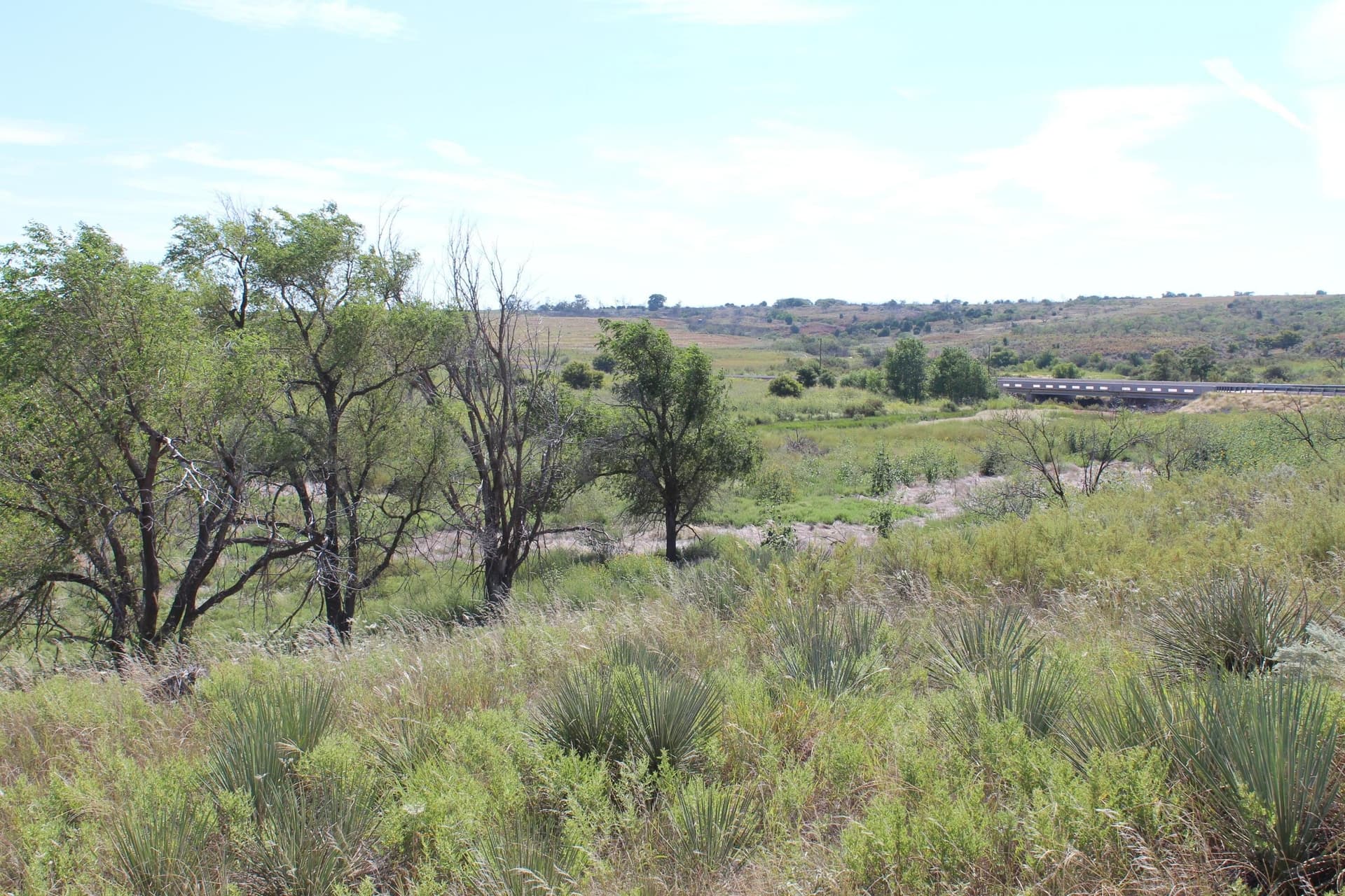 325.2 acres in Childress County - photo 28