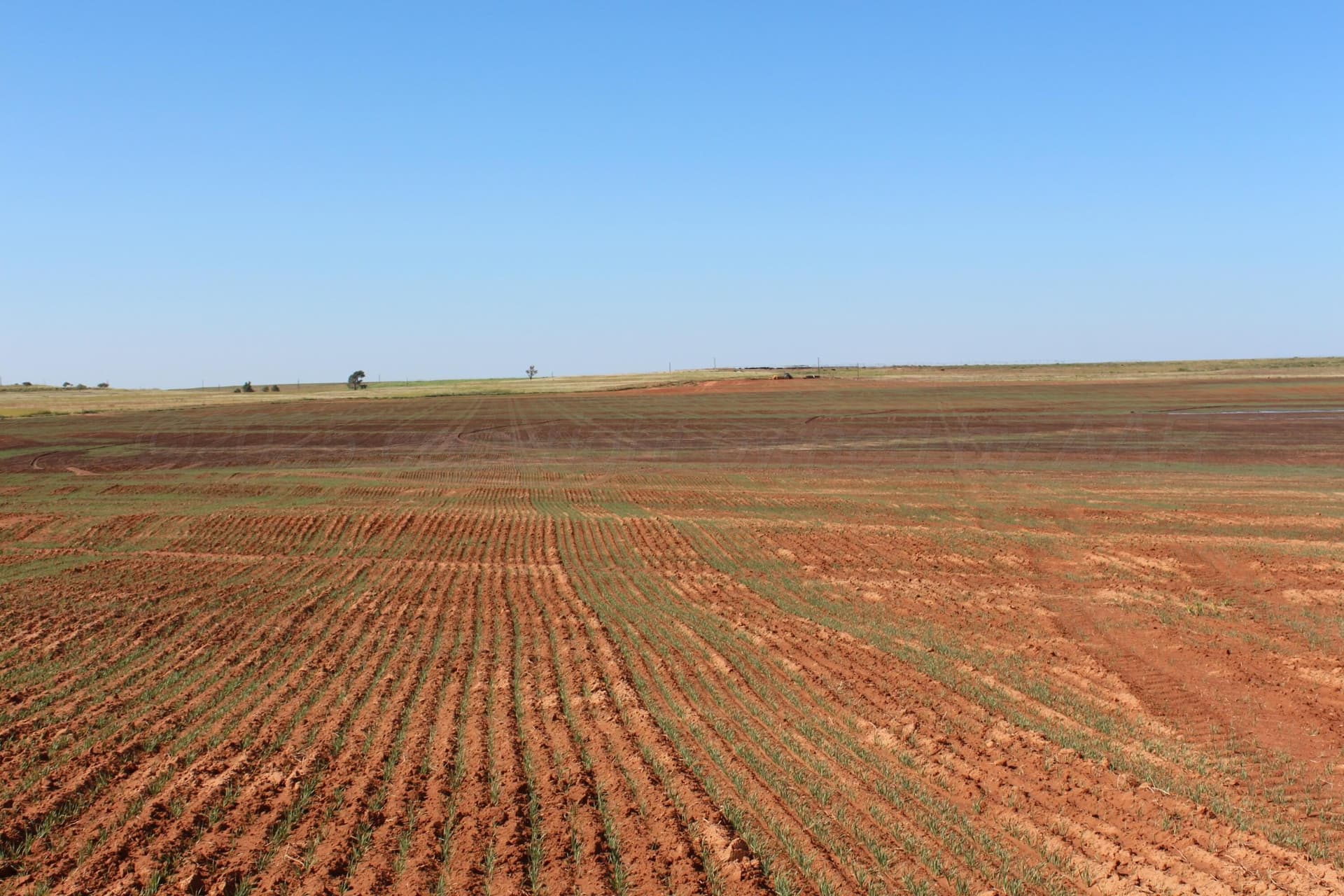 325.2 acres in Childress County - photo 15