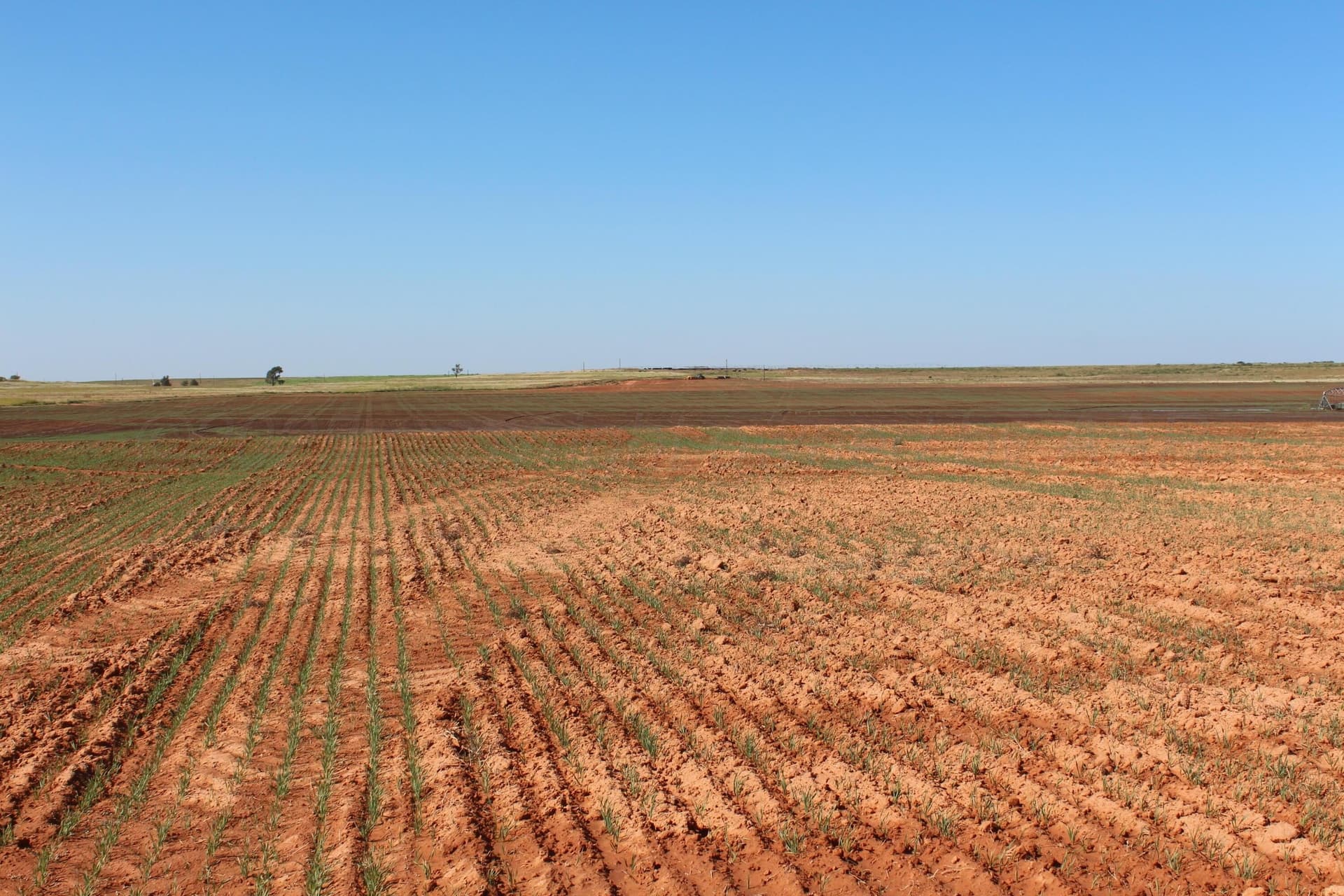 325.2 acres in Childress County - photo 12