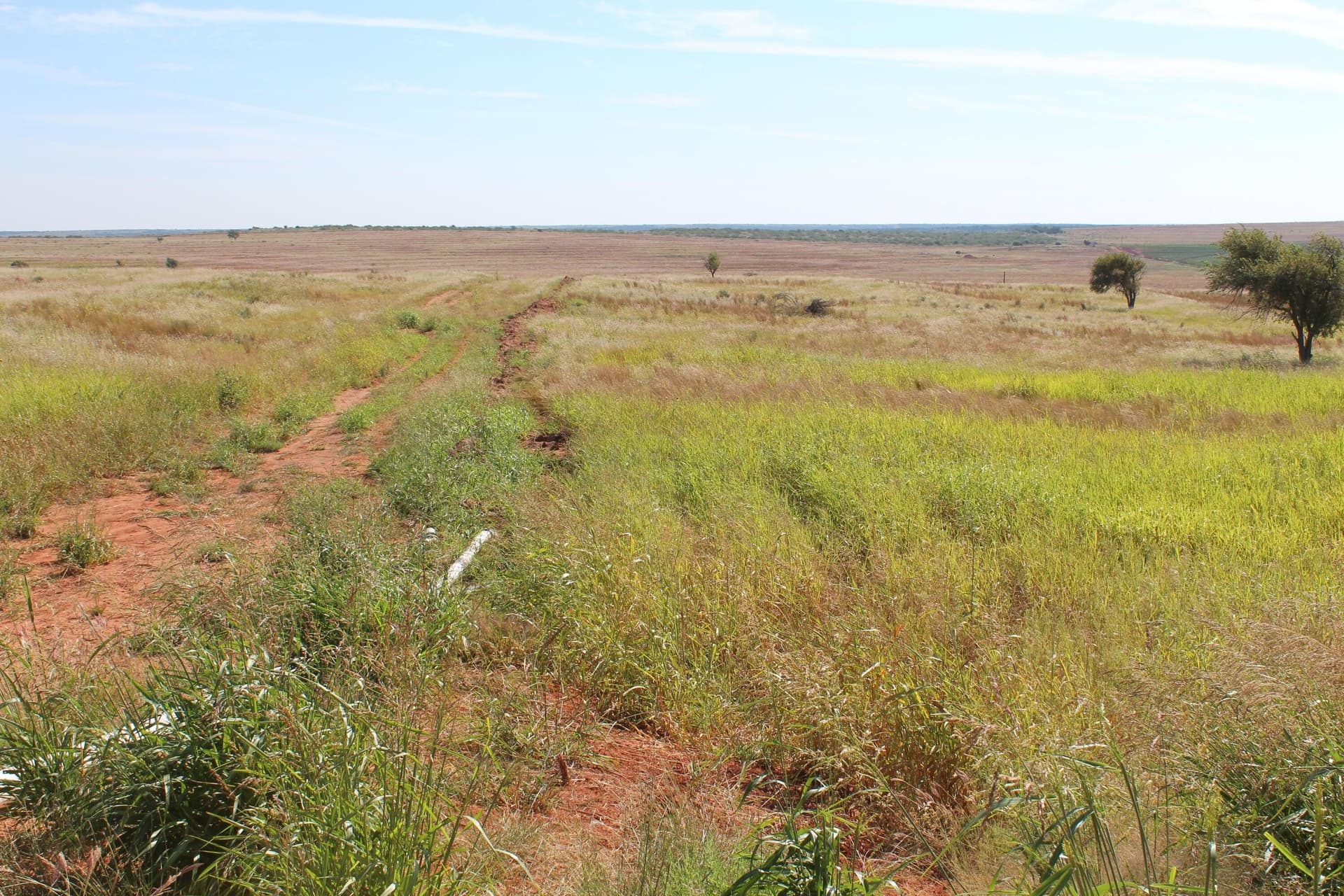 325.2 acres in Childress County gallery image 3