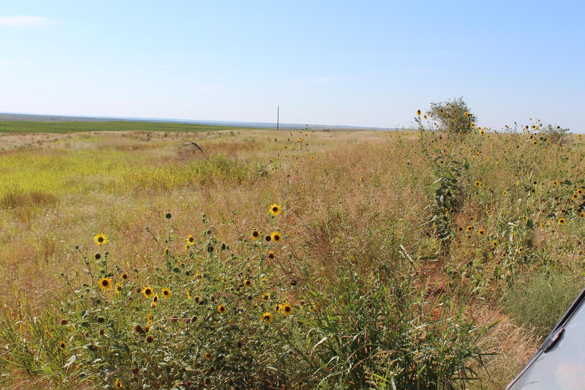 325.2 acres in Childress County featured view