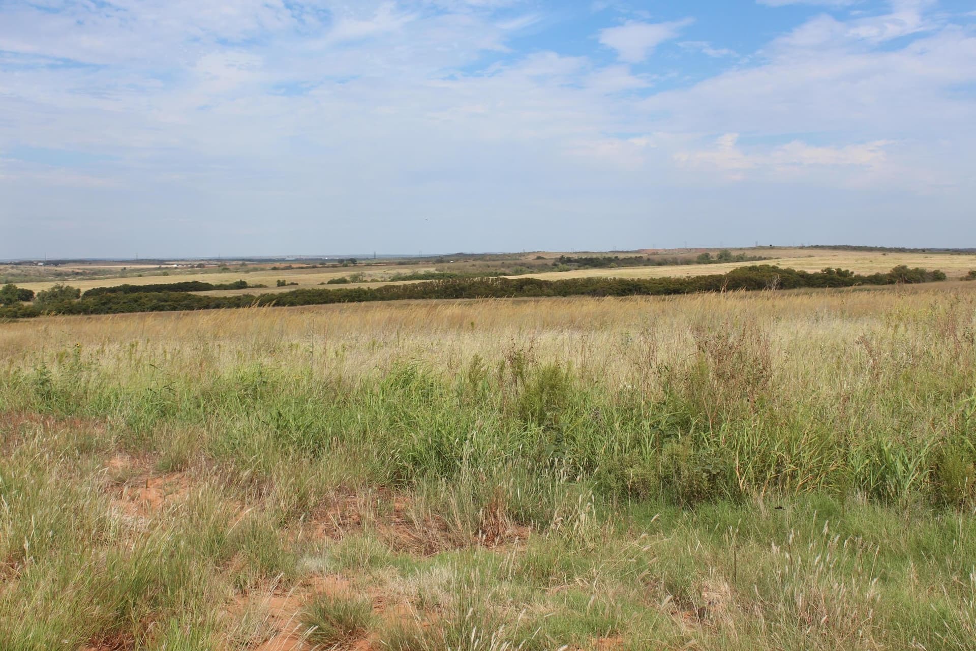 325.2 acres in Childress County - photo 31