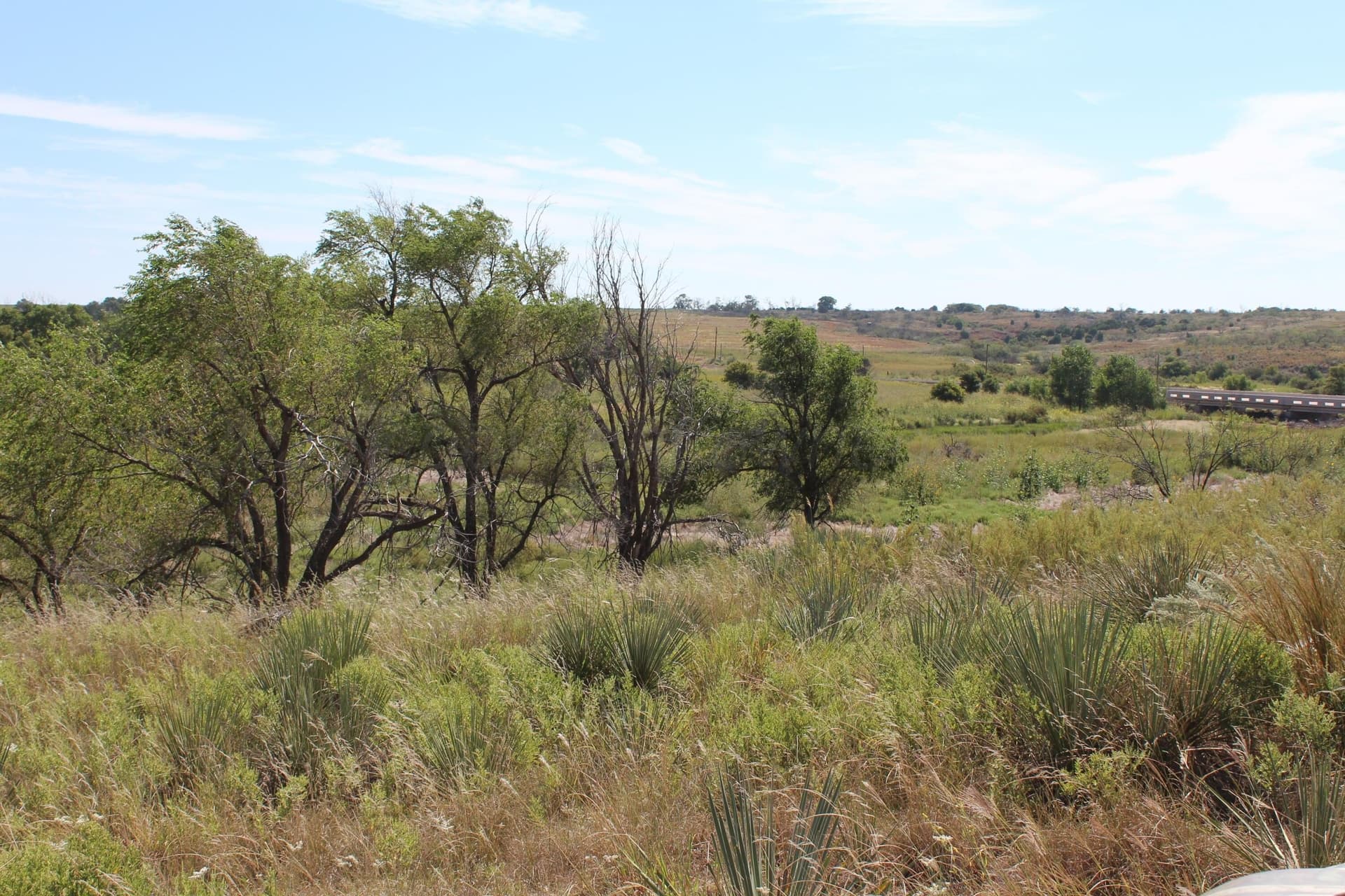 325.2 acres in Childress County - photo 26
