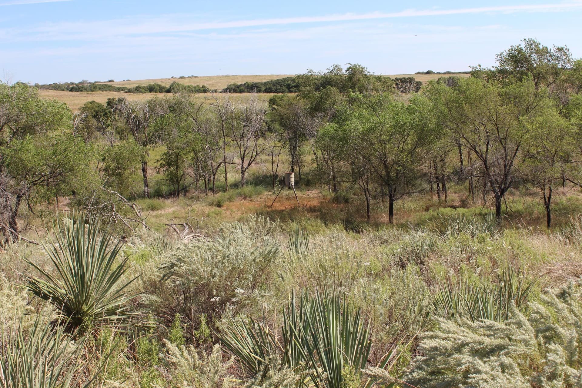 325.2 acres in Childress County - photo 22
