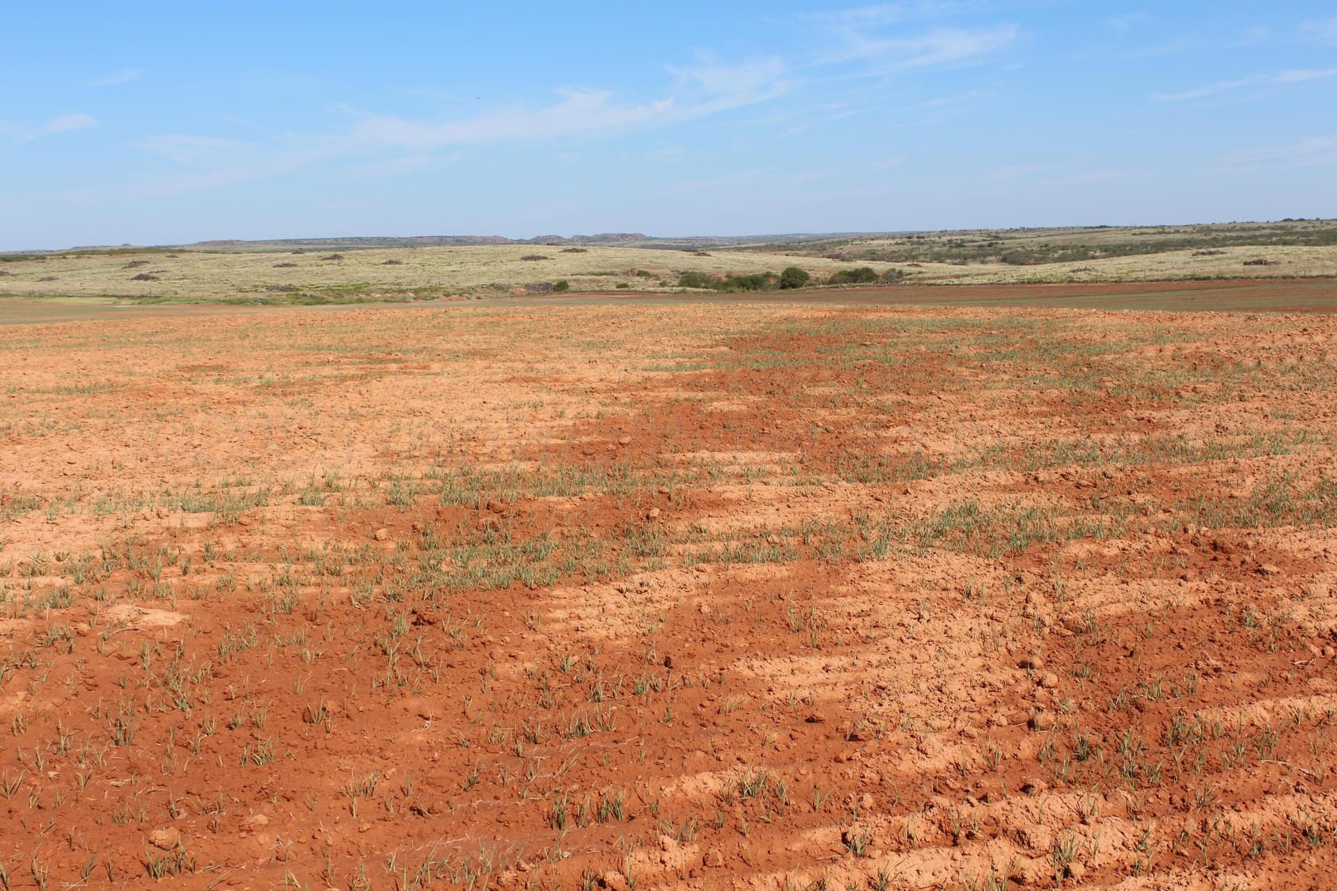 325.2 acres in Childress County - photo 14
