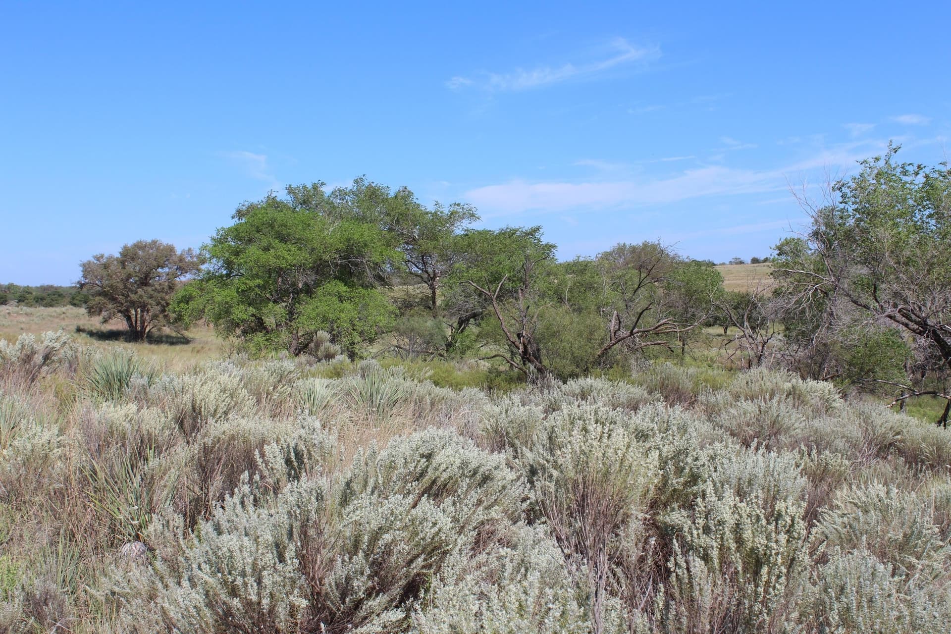 325.2 acres in Childress County - photo 24