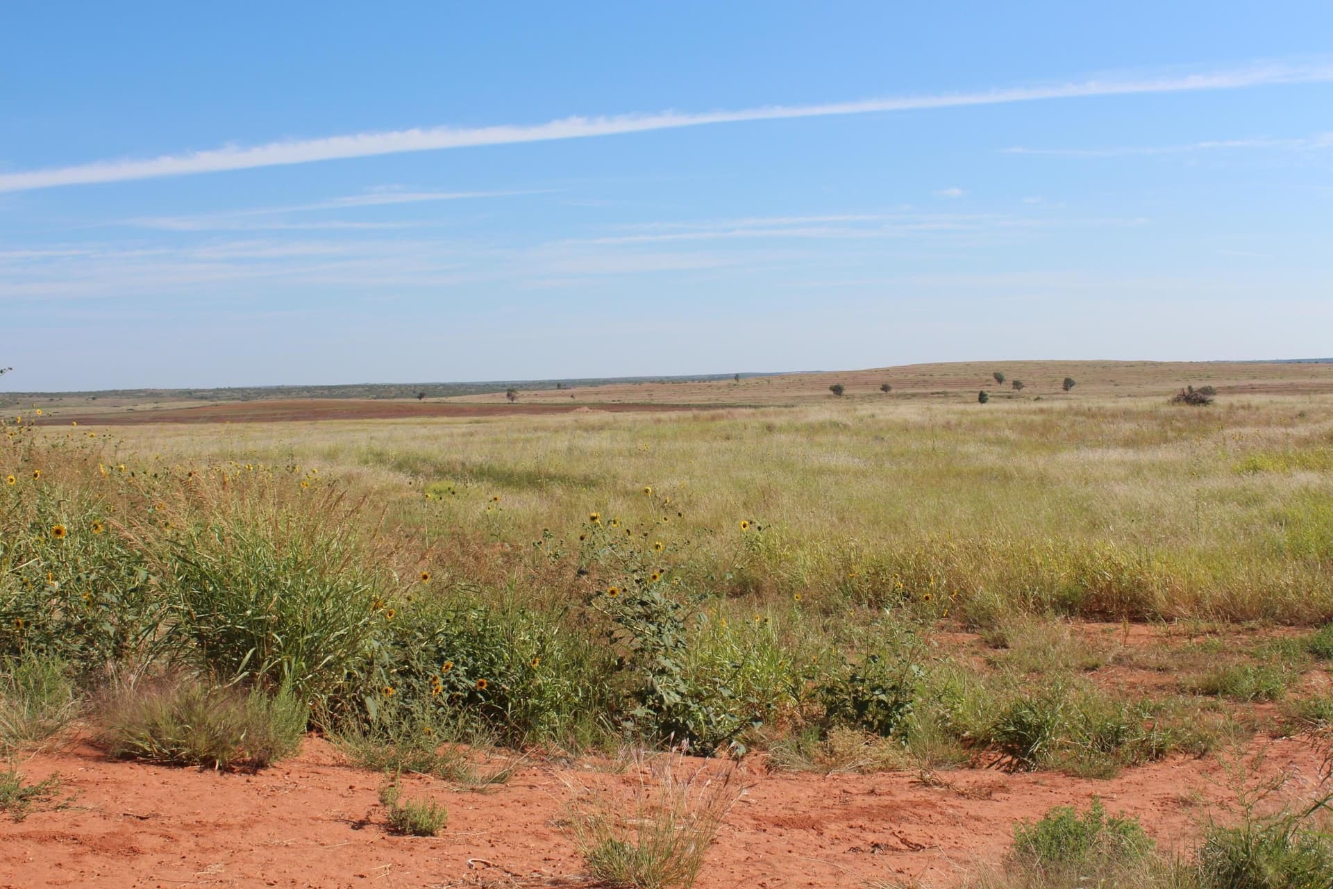 325.2 acres in Childress County gallery image 2