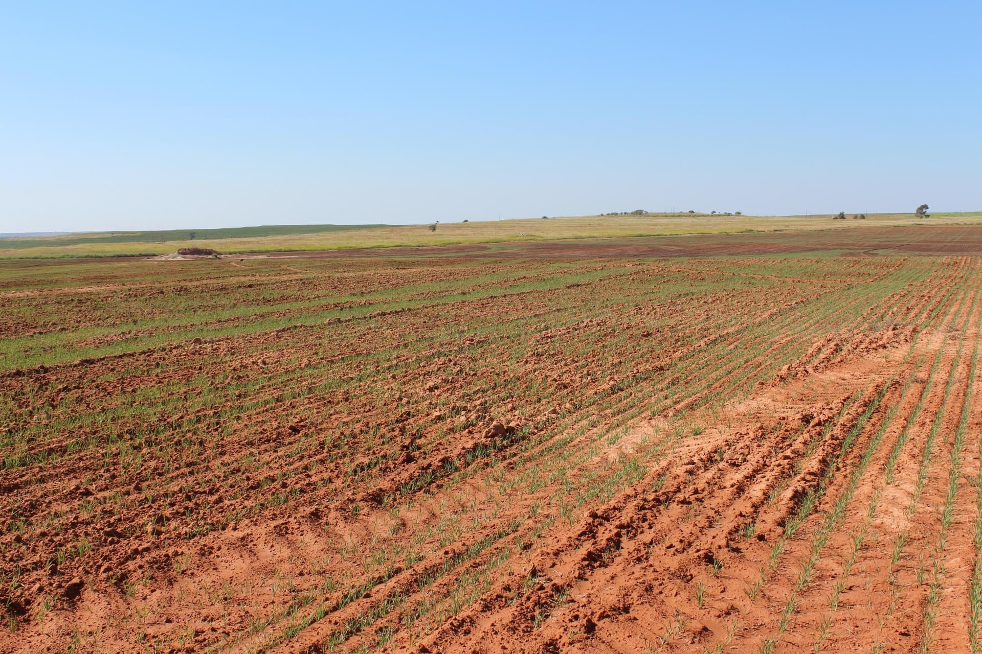 325.2 acres in Childress County - photo 13