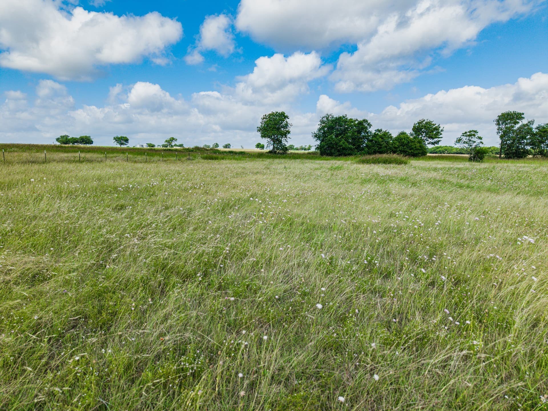 10.88 acres in McLennan County gallery image 2