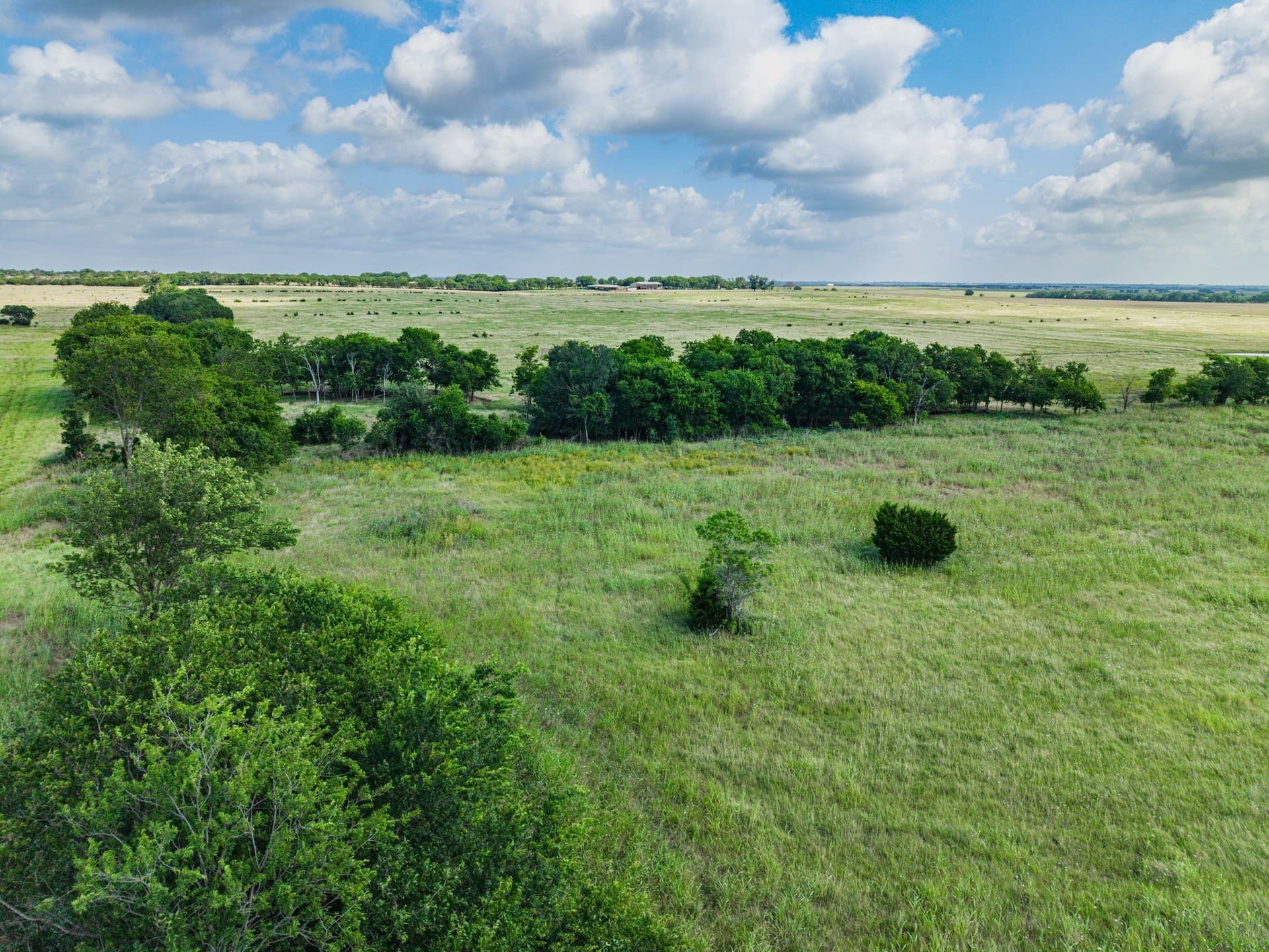 10.88 acres in McLennan County gallery image 4
