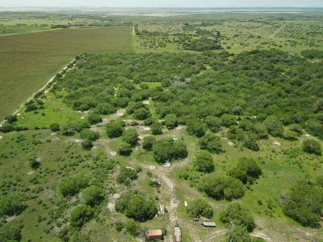 41.86 acres in San Patricio County gallery image 2