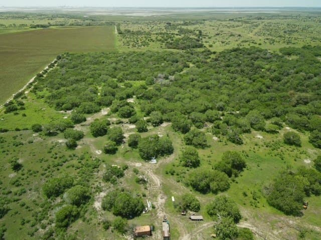 41.86 acres in San Patricio County gallery image 3