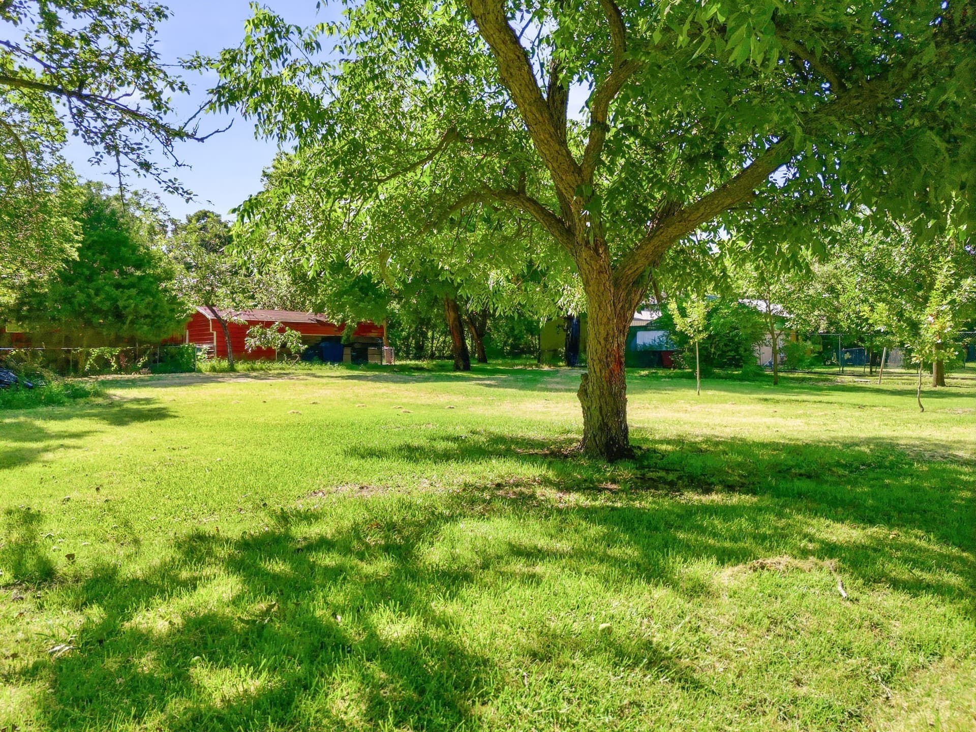 0.23 acres in Collin County - photo 7