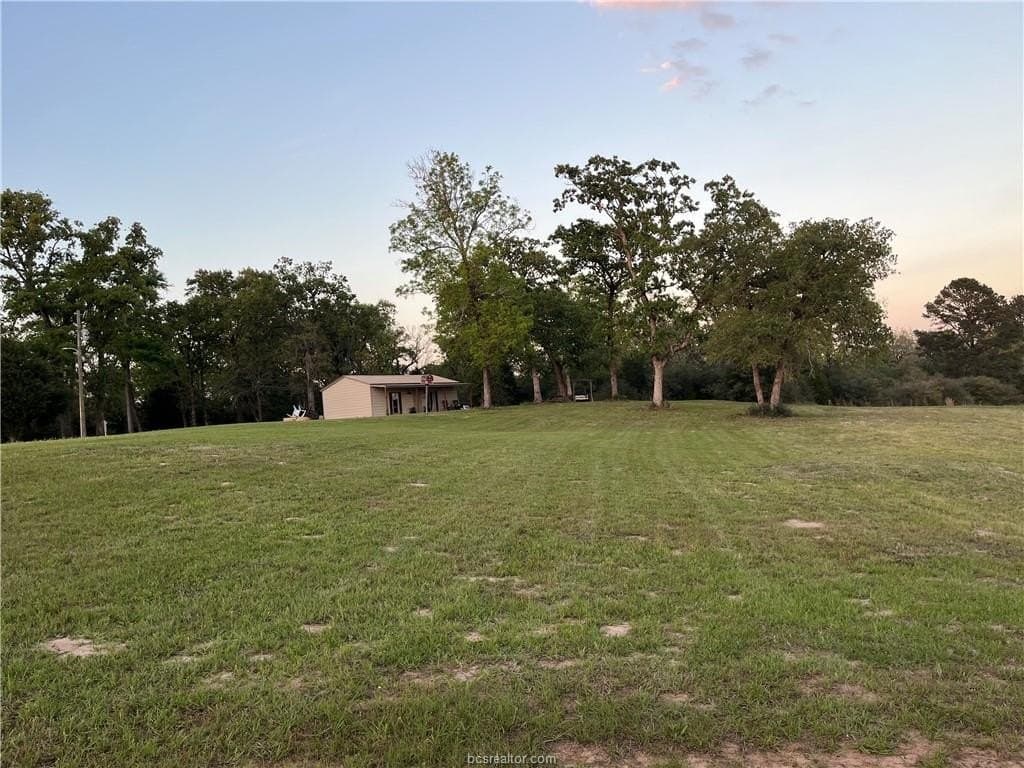 20 acres in Leon County gallery image 4