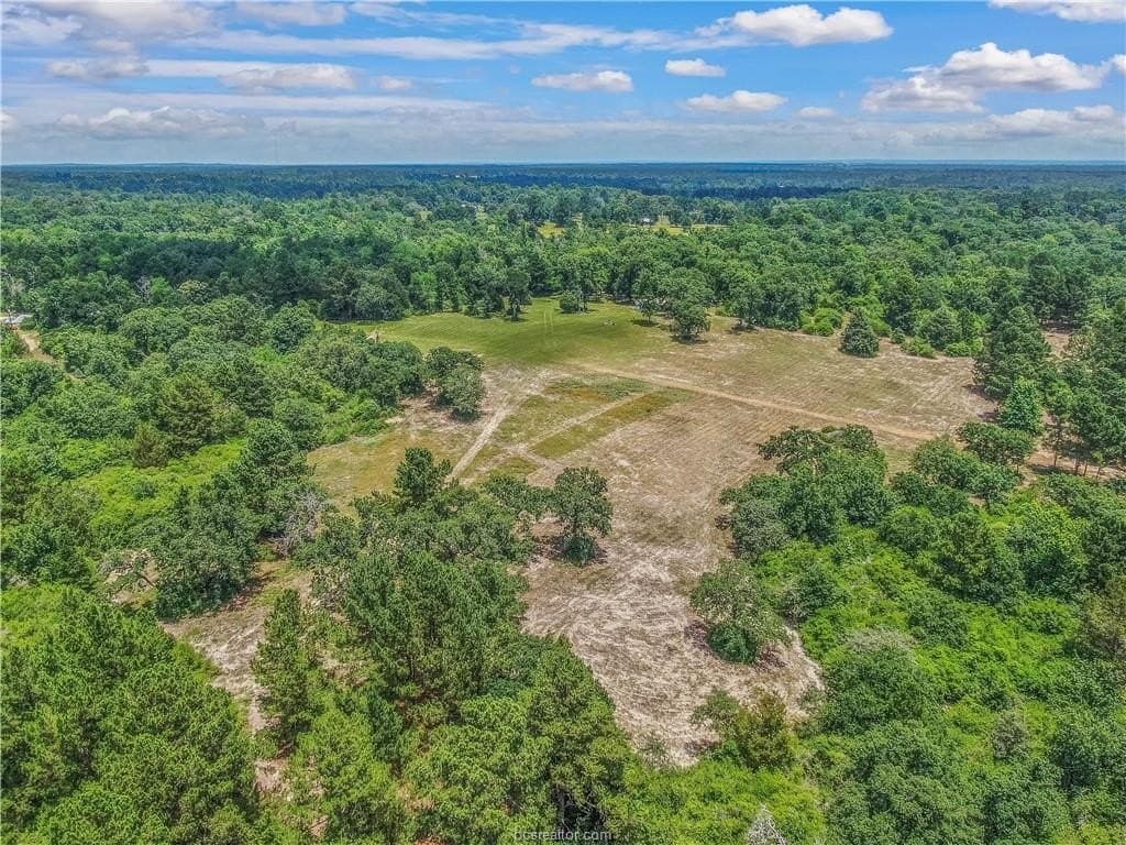 20 acres in Leon County gallery image 3