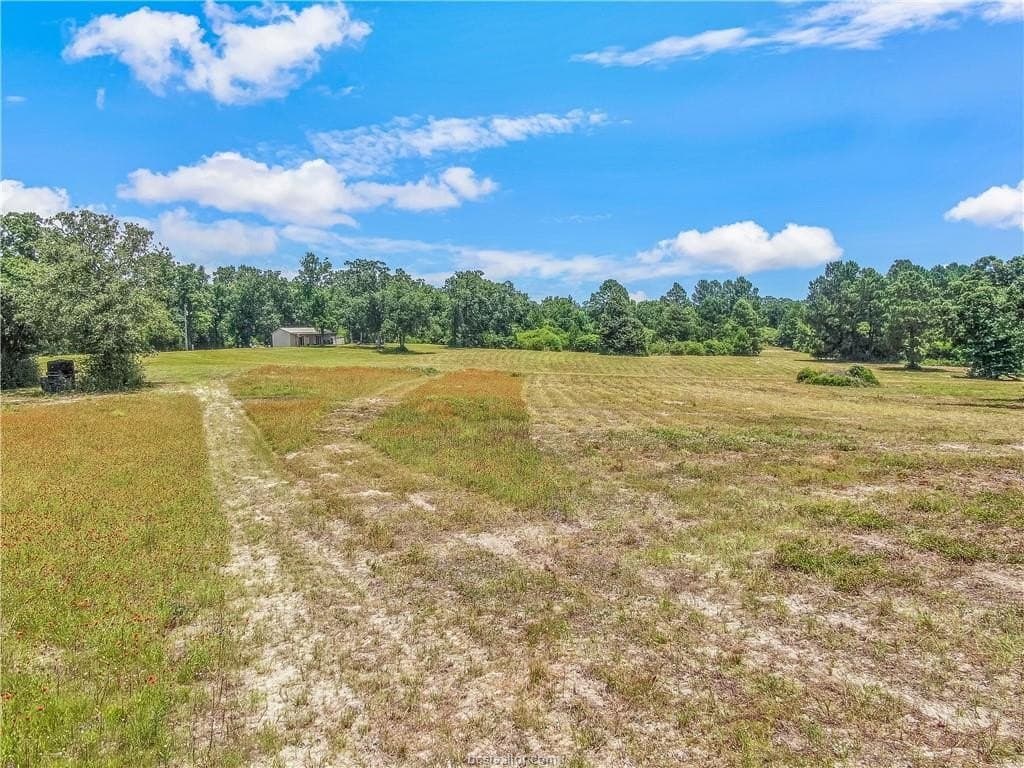 20 acres in Leon County gallery image 4