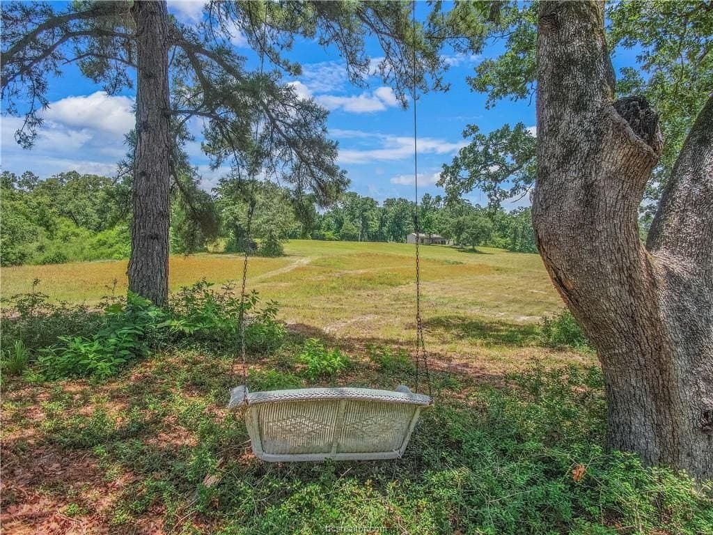20 acres in Leon County gallery image 2
