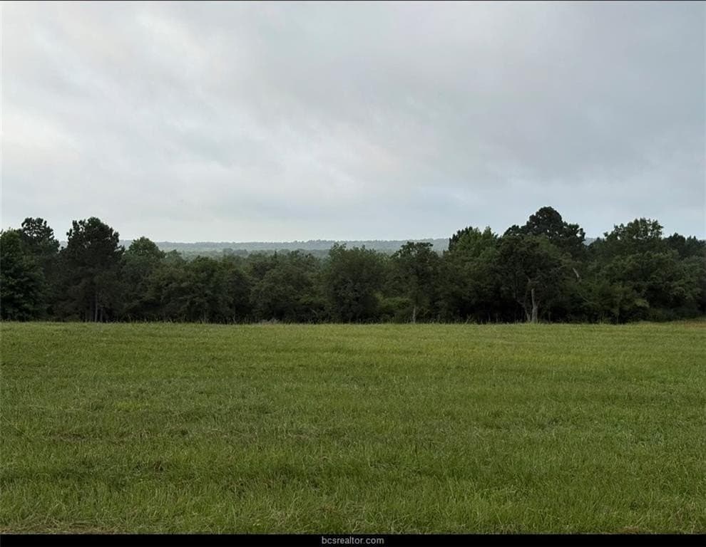 20 acres in Leon County gallery image 3