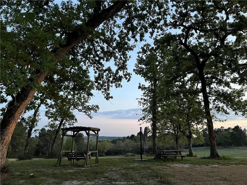 20 acres in Leon County gallery image 2