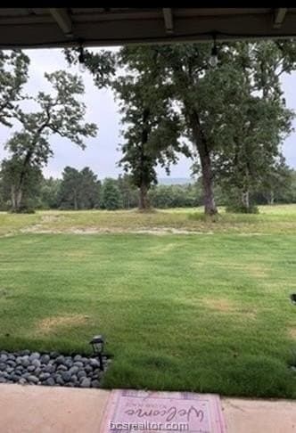 20 acres in Leon County