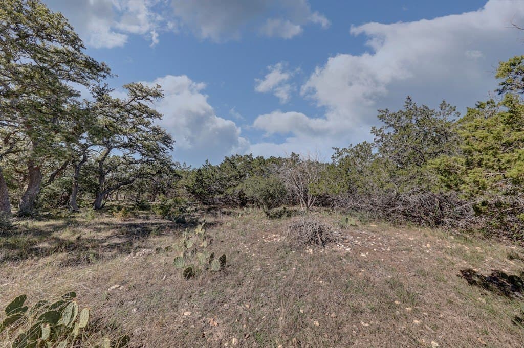 0.9 acres in Kerr County gallery image 3