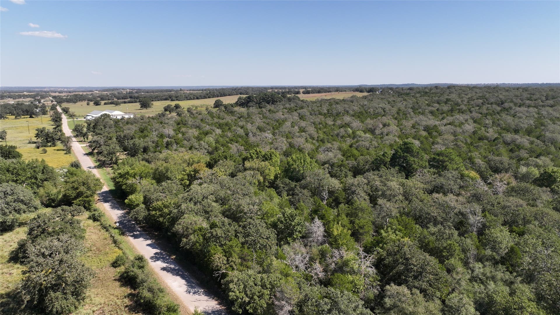 163.16 acres in Bastrop County - photo 8