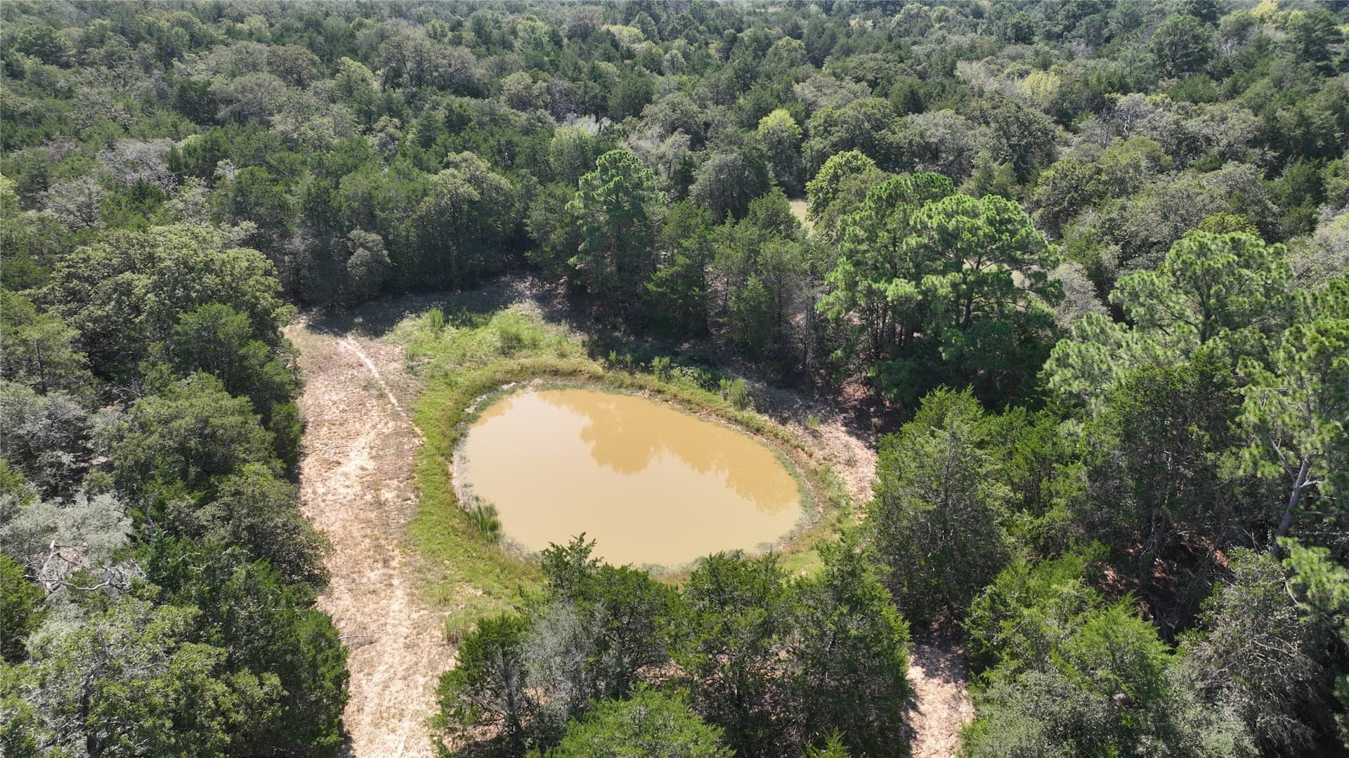 163.16 acres in Bastrop County - photo 5