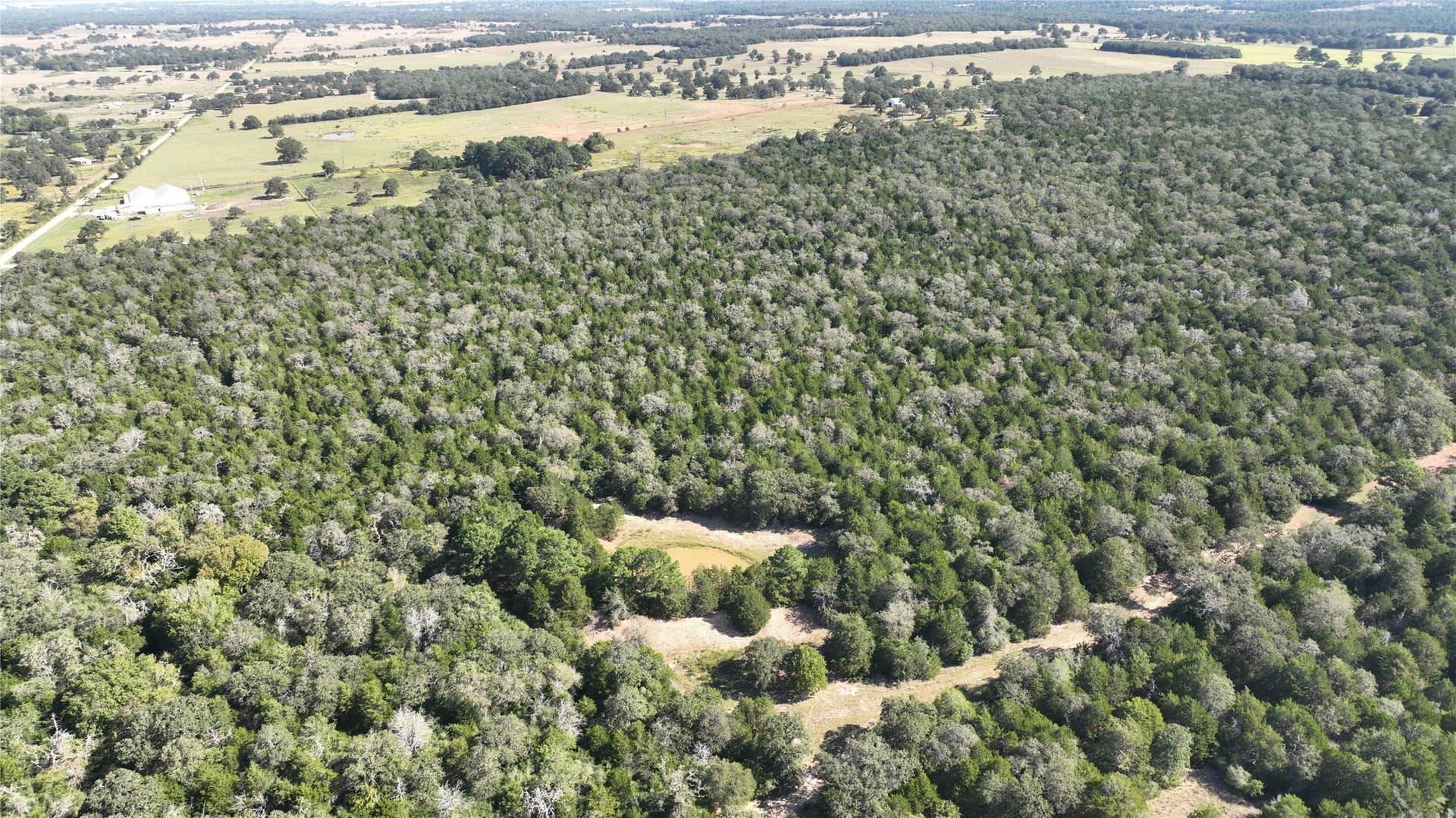 163.16 acres in Bastrop County - photo 3