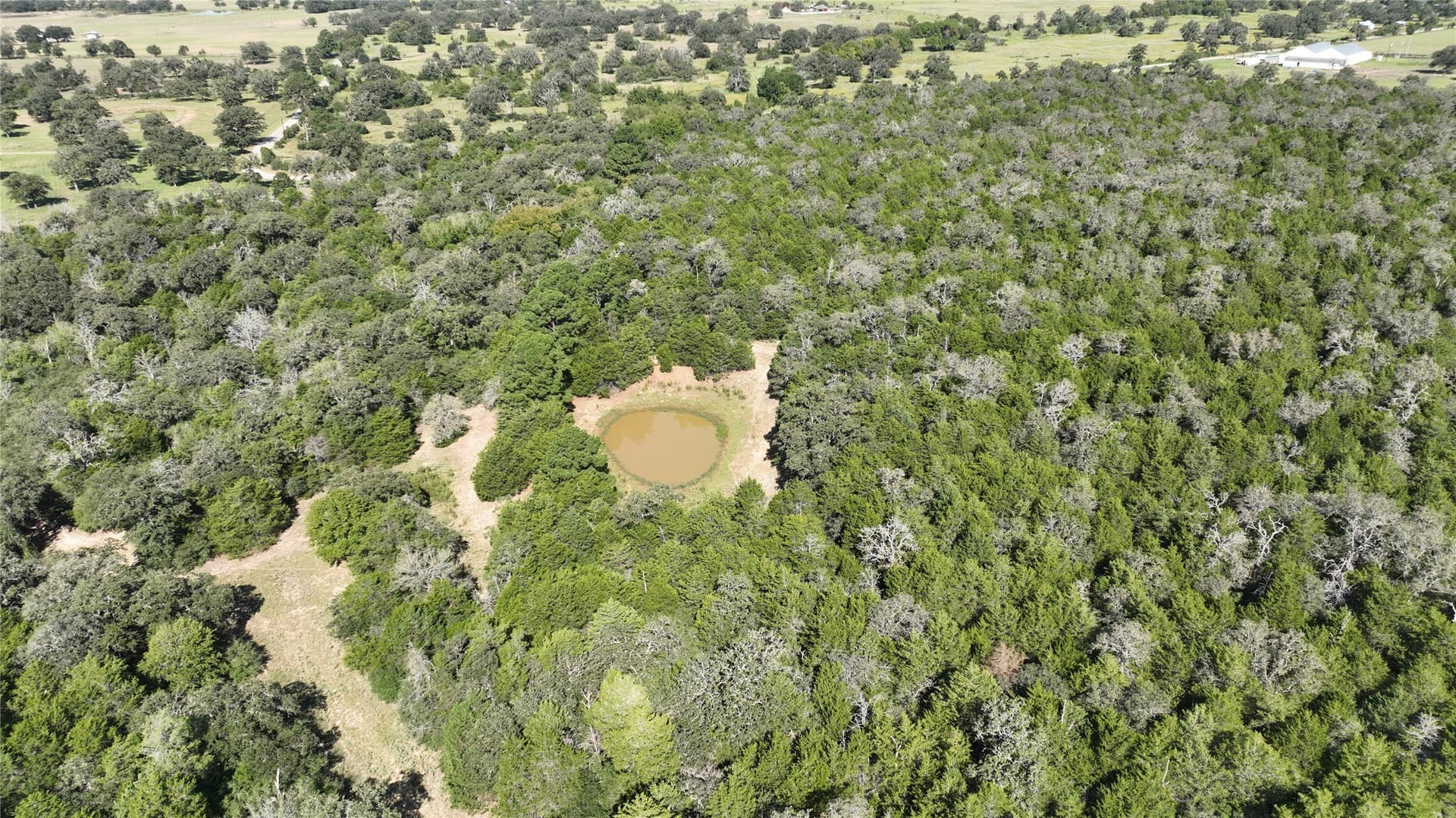163.16 acres in Bastrop County - photo 4