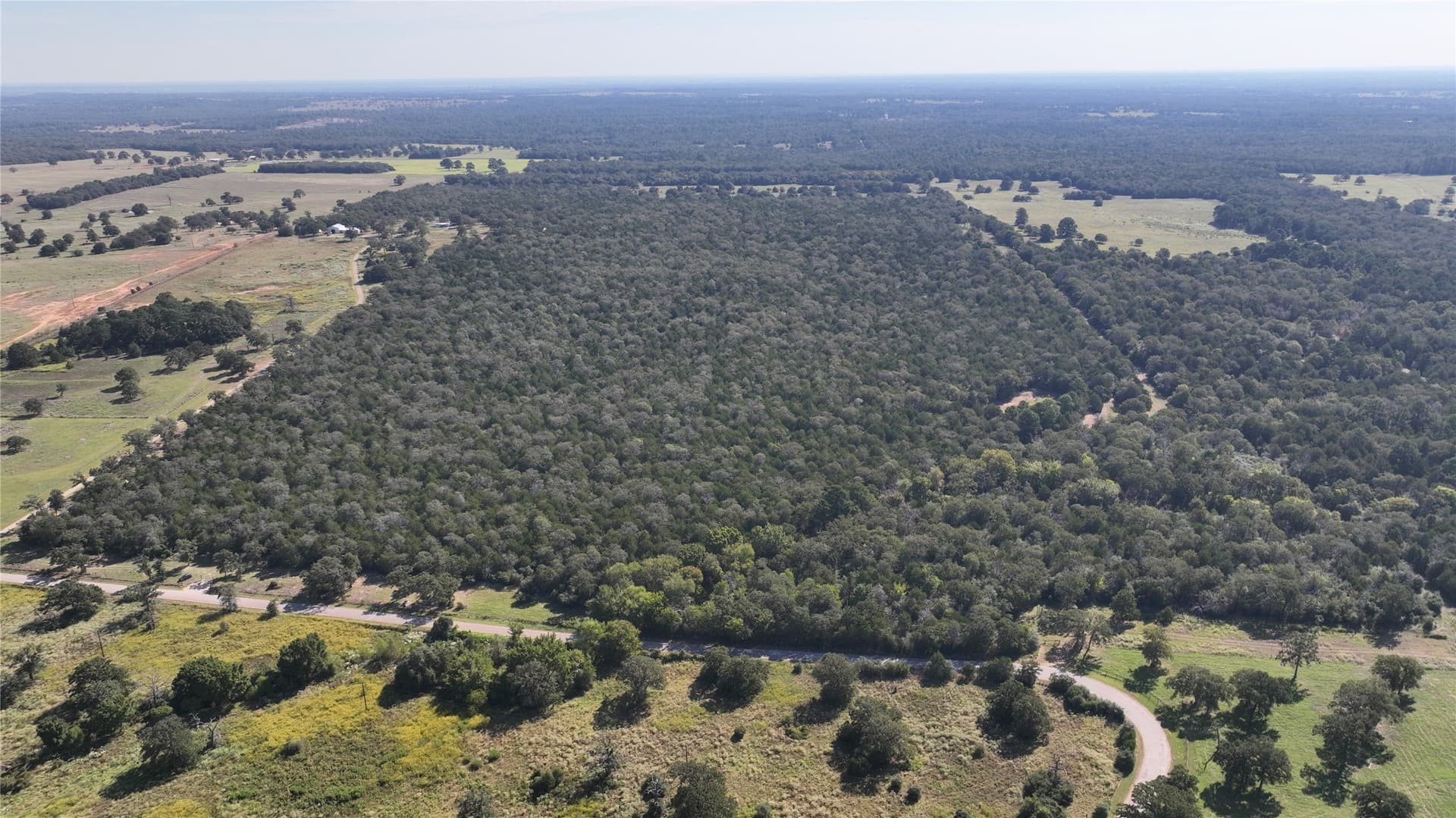 163.16 acres in Bastrop County - photo 6